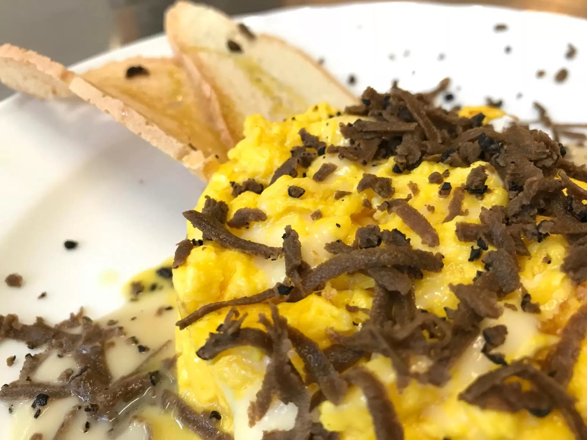 Restaurant/places to eat in Perugia Plaza Hotel