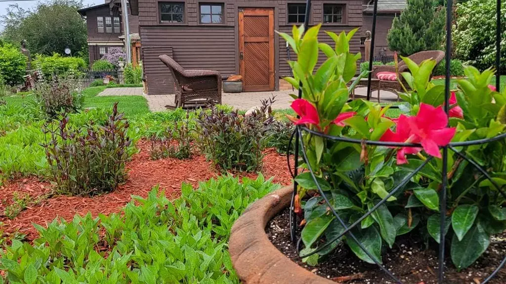 Garden view in Chocolate Mansion