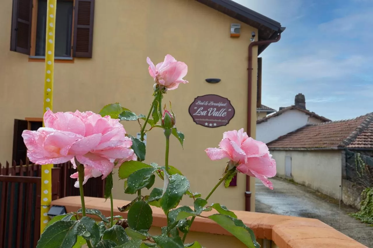 Garden in La Valle B&B