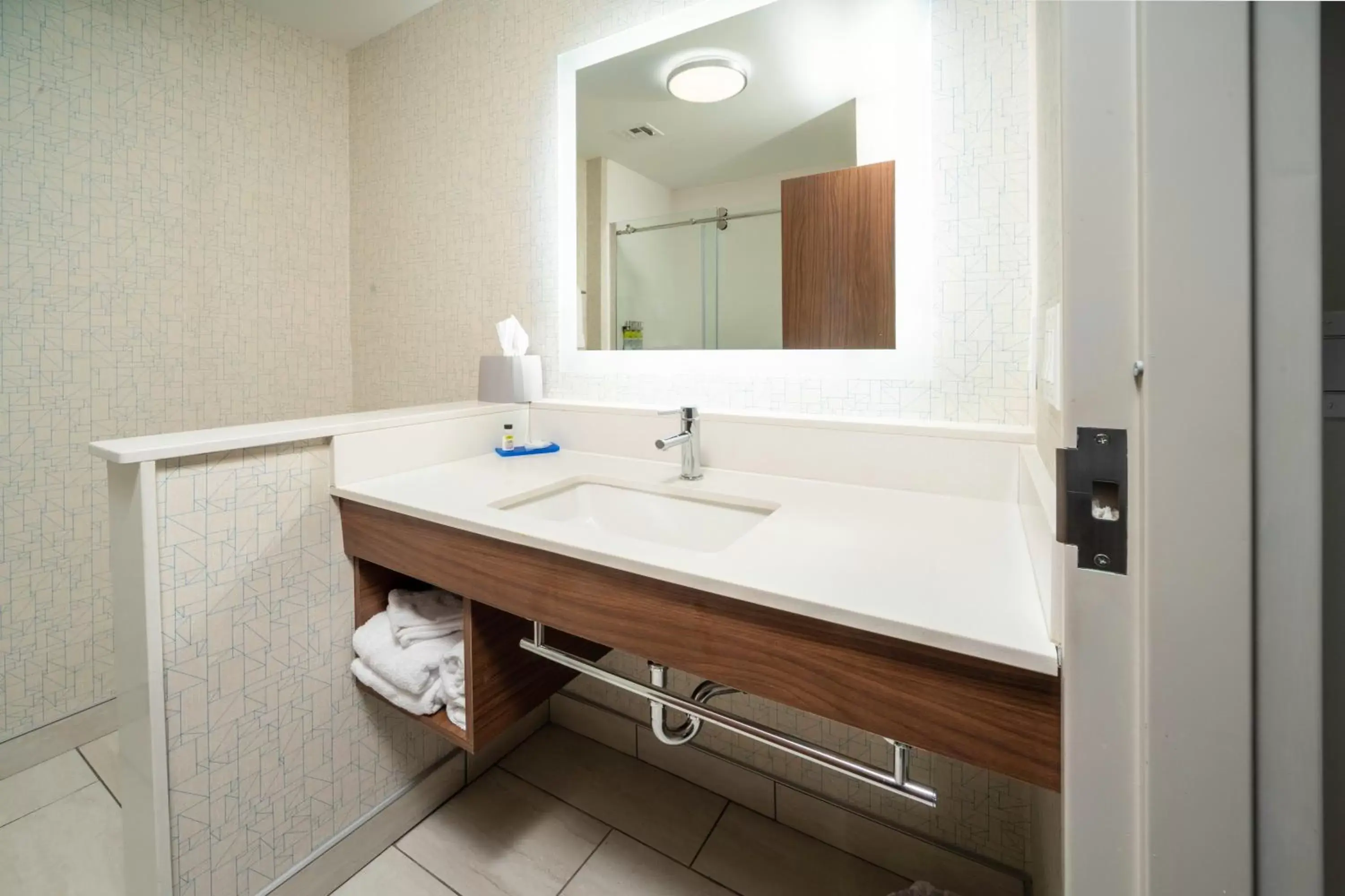 Bathroom in Holiday Inn Express & Suites - Rock Hill, an IHG Hotel