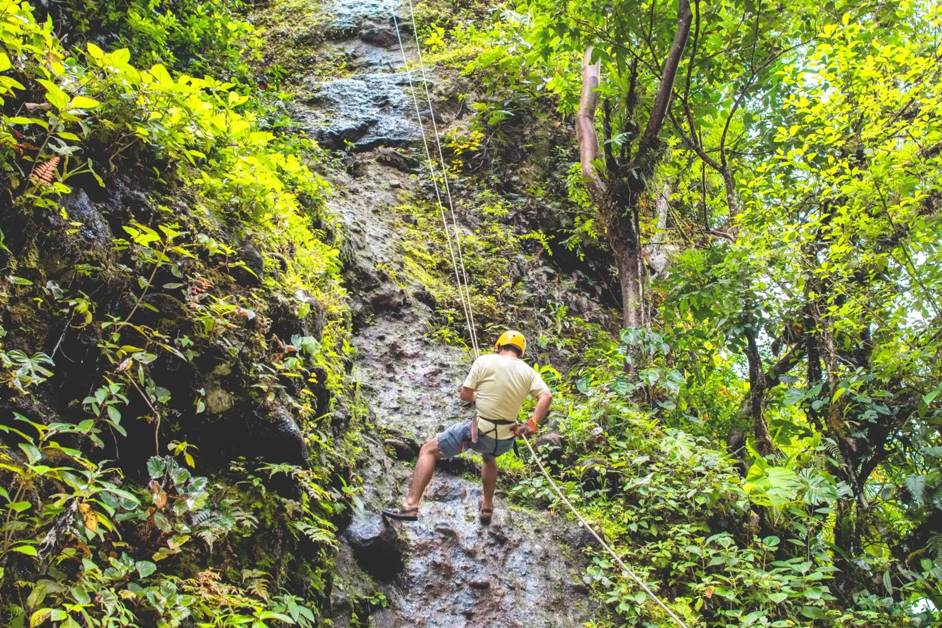 Hiking, Other Animals in Selina La Fortuna