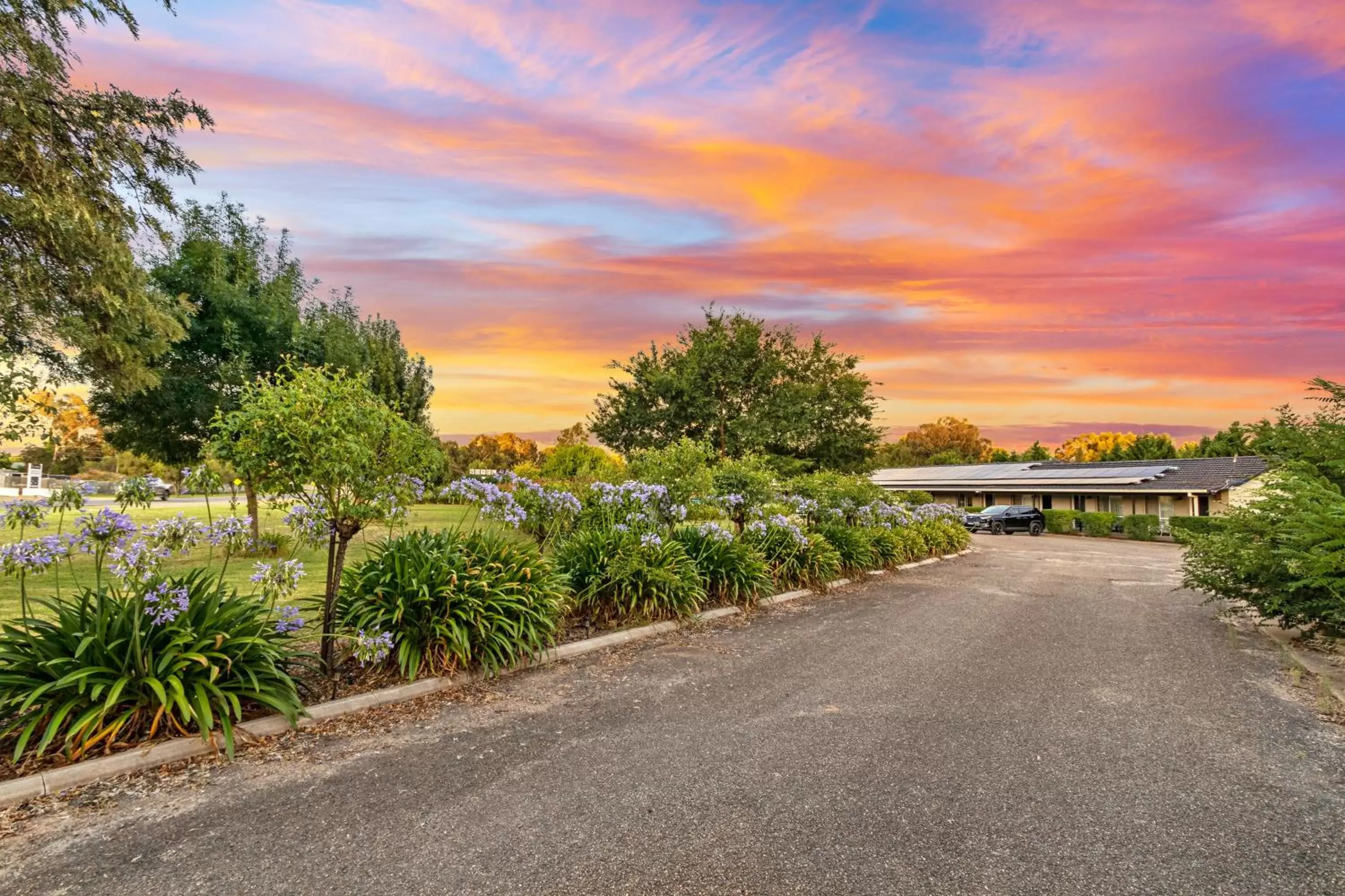 Garden view in Burringa Garden Motel Garden view in Burringa Garden Motel