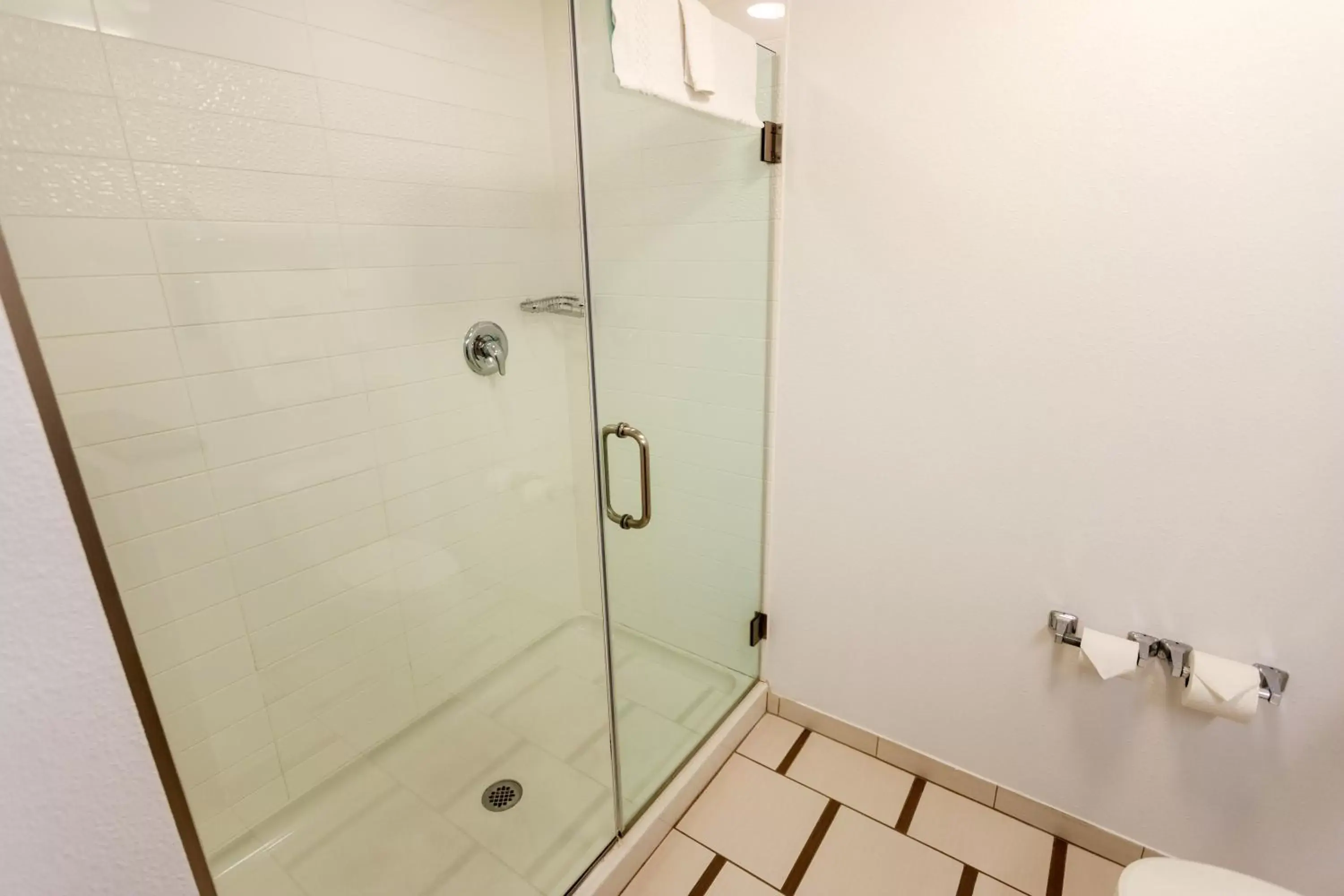 Shower, Bathroom in Fairfield Inn & Suites by Marriott Athens I-65