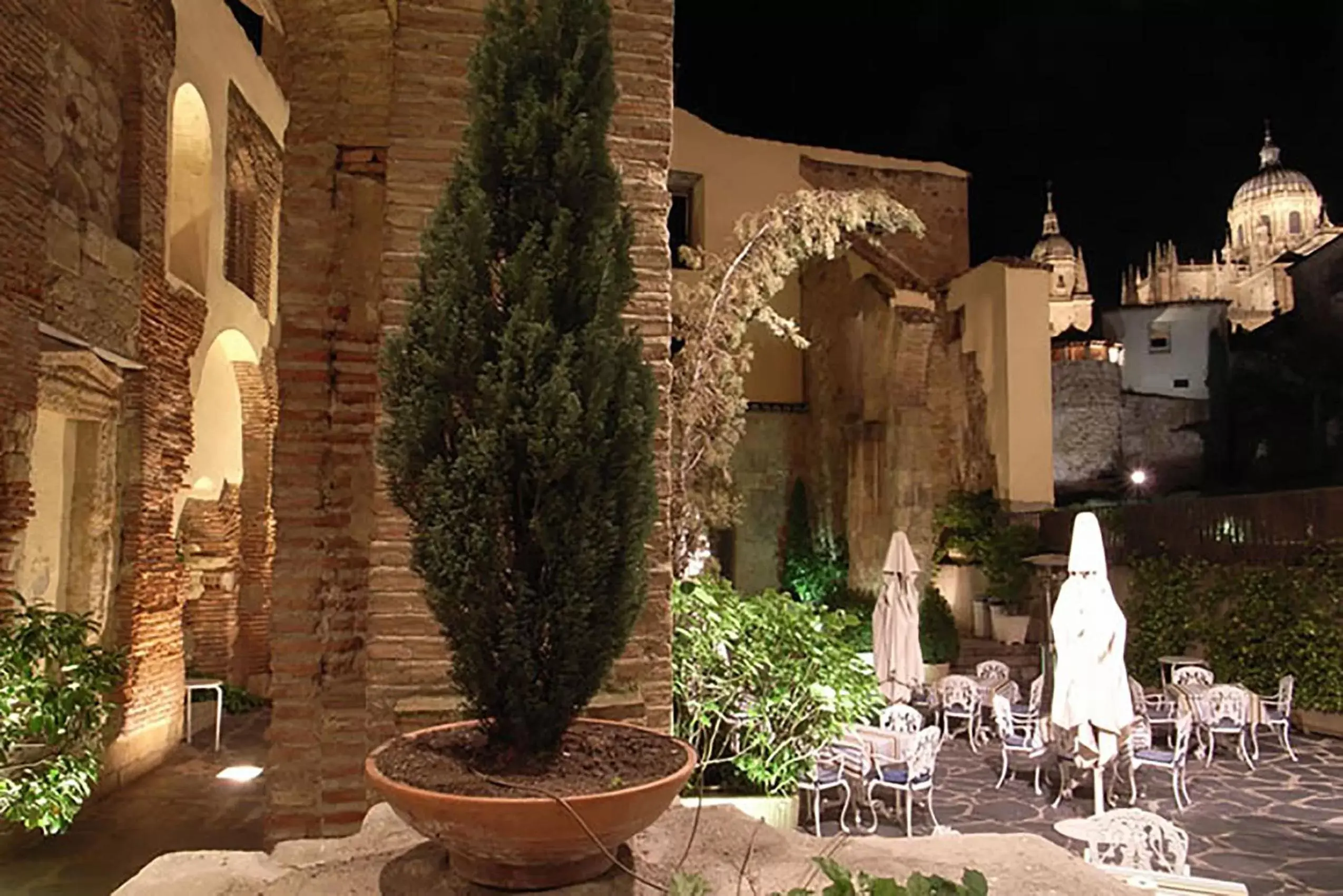 Patio, Restaurant/Places to Eat in Hotel San Polo