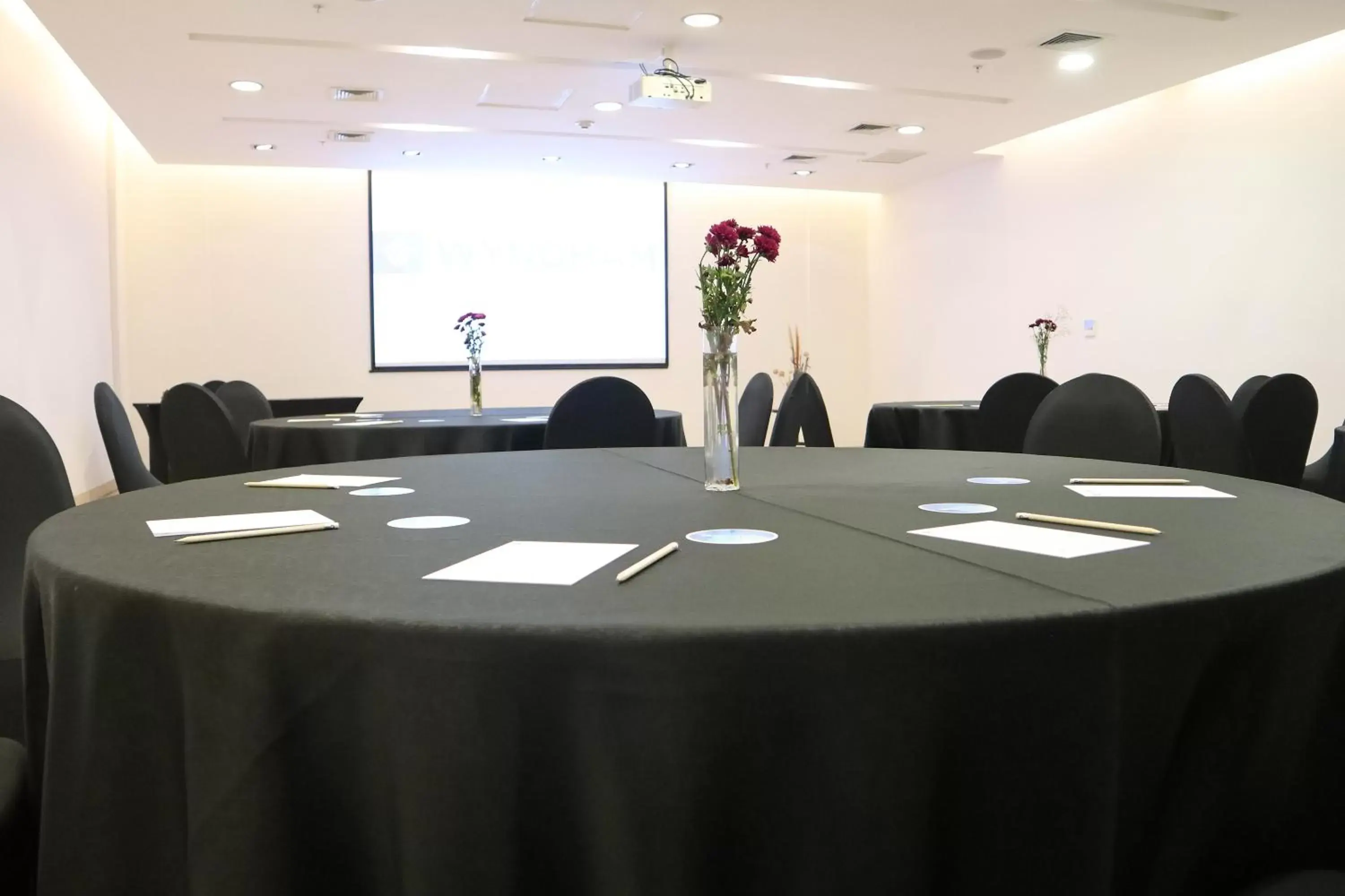 Meeting/conference room in Wyndham Concepcion Pettra