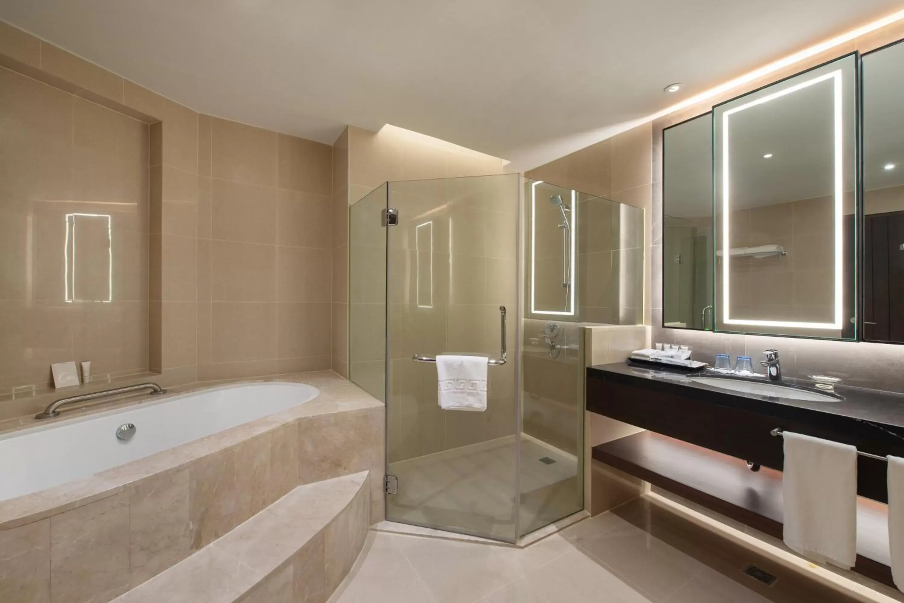 Bathroom in Crowne Plaza Manila Galleria, an IHG Hotel