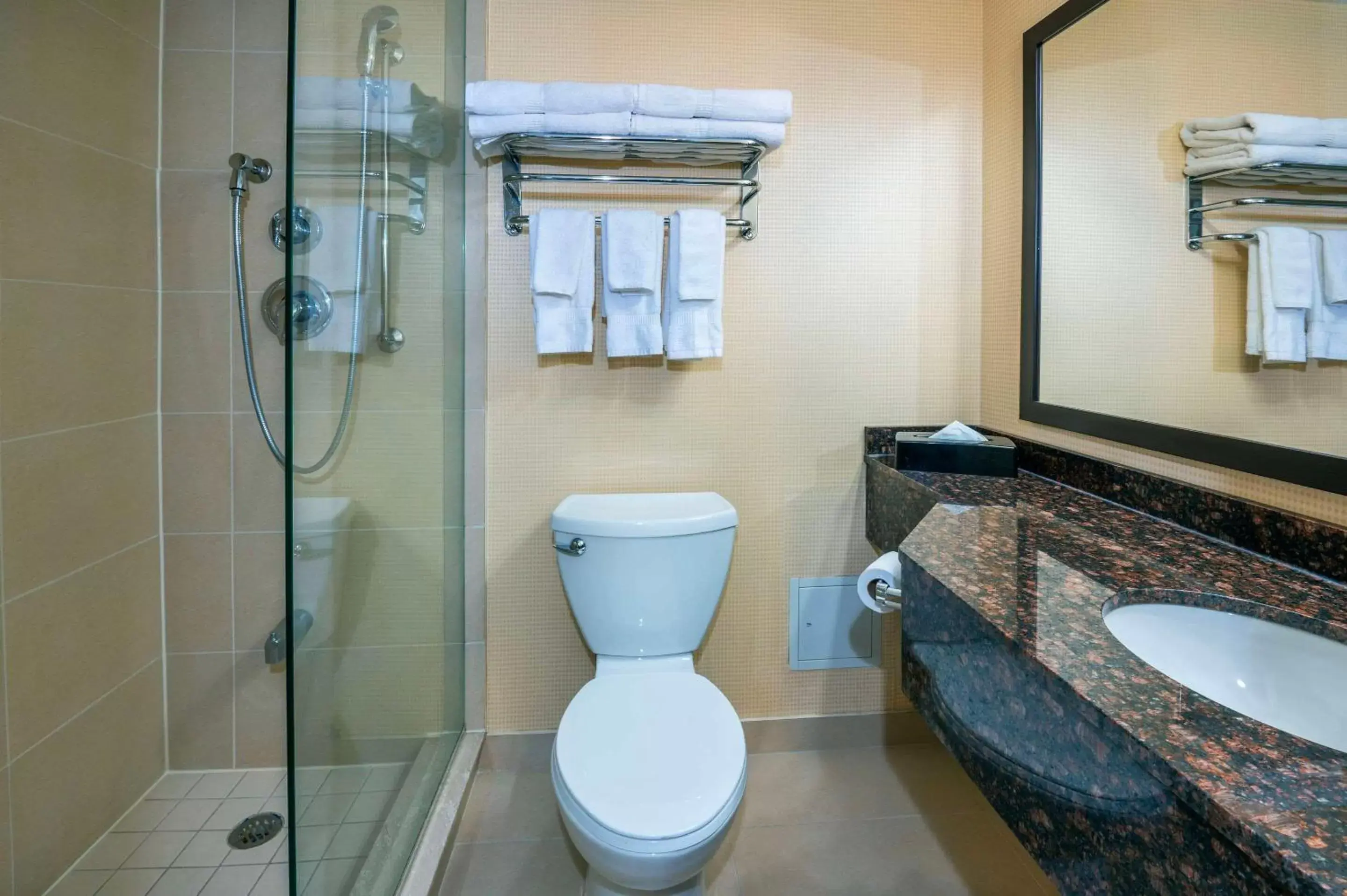 Bedroom, Bathroom in Comfort Inn & Conference Centre Toronto Airport
