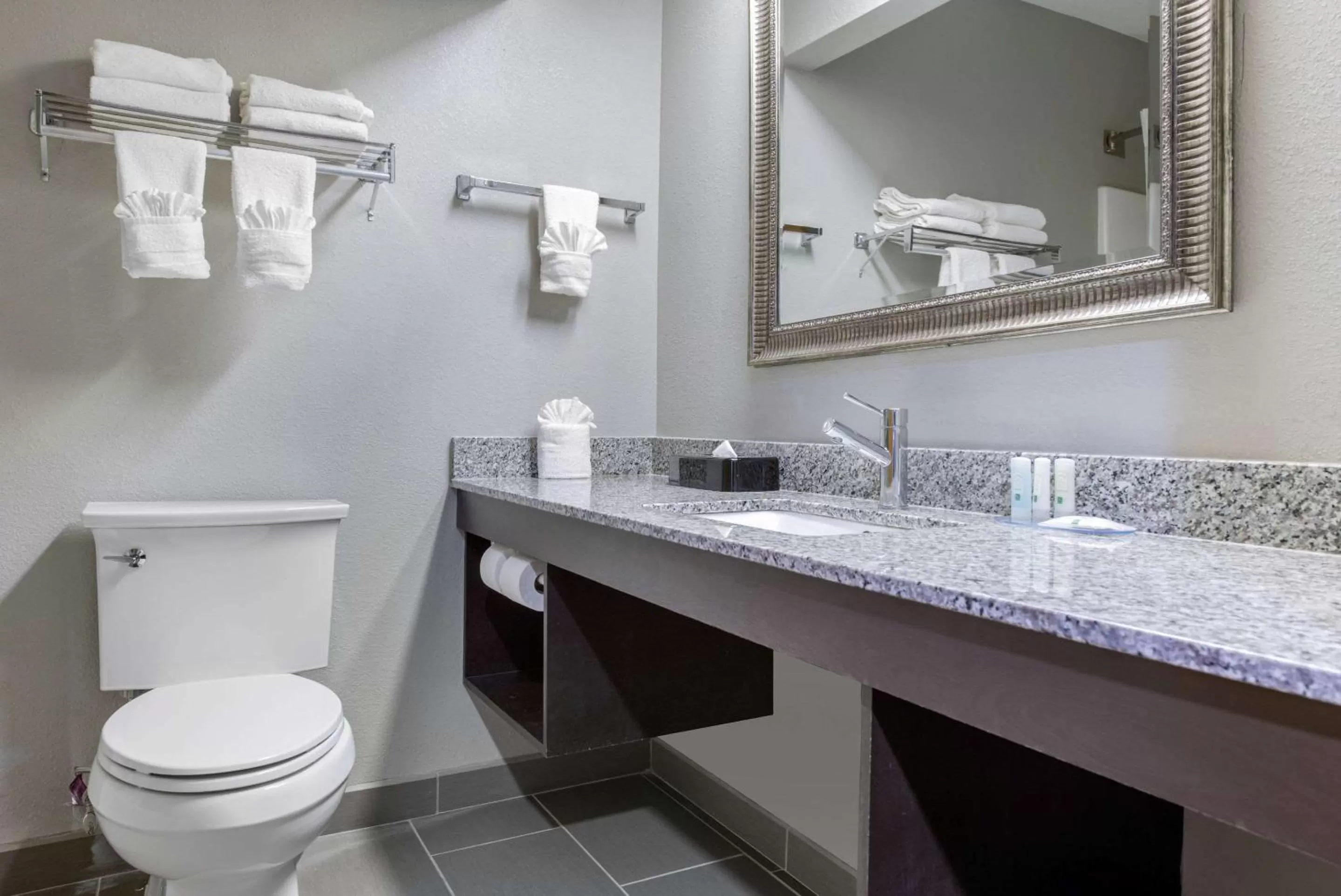 Bathroom in Quality Inn & Suites Brownsburg - Indianapolis West