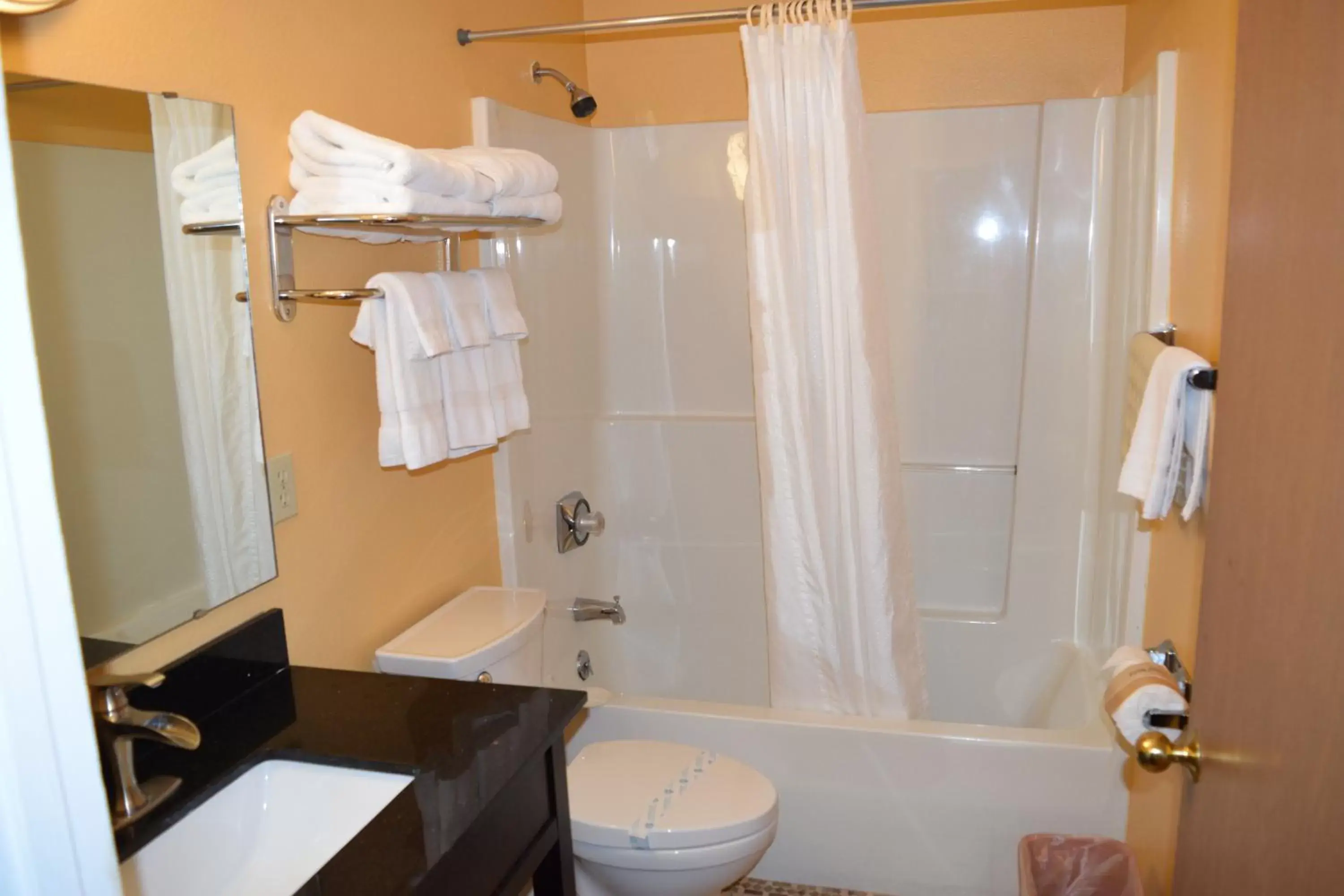 Bathroom in Royal Victorian Motel