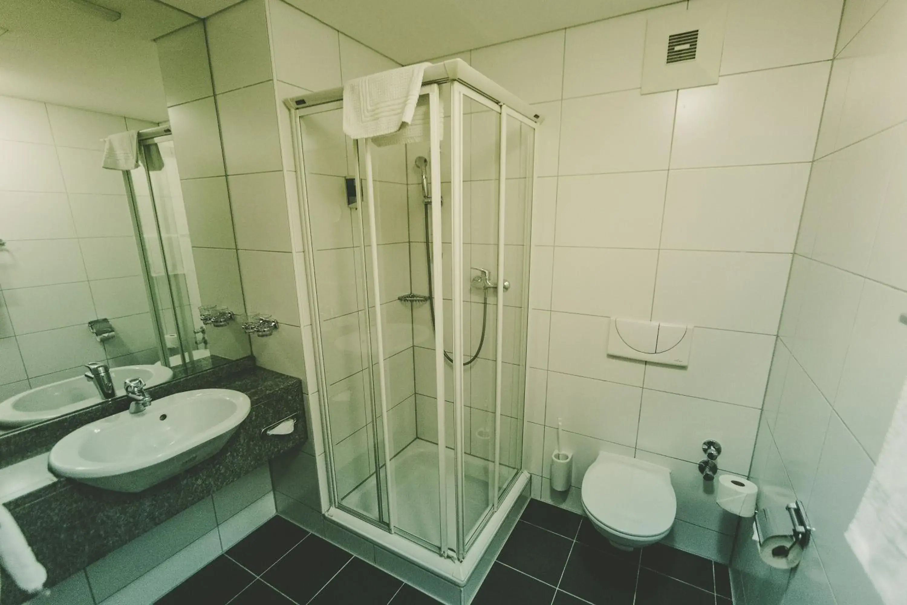 Decorative detail, Bathroom in Hotel Bokan Exclusiv