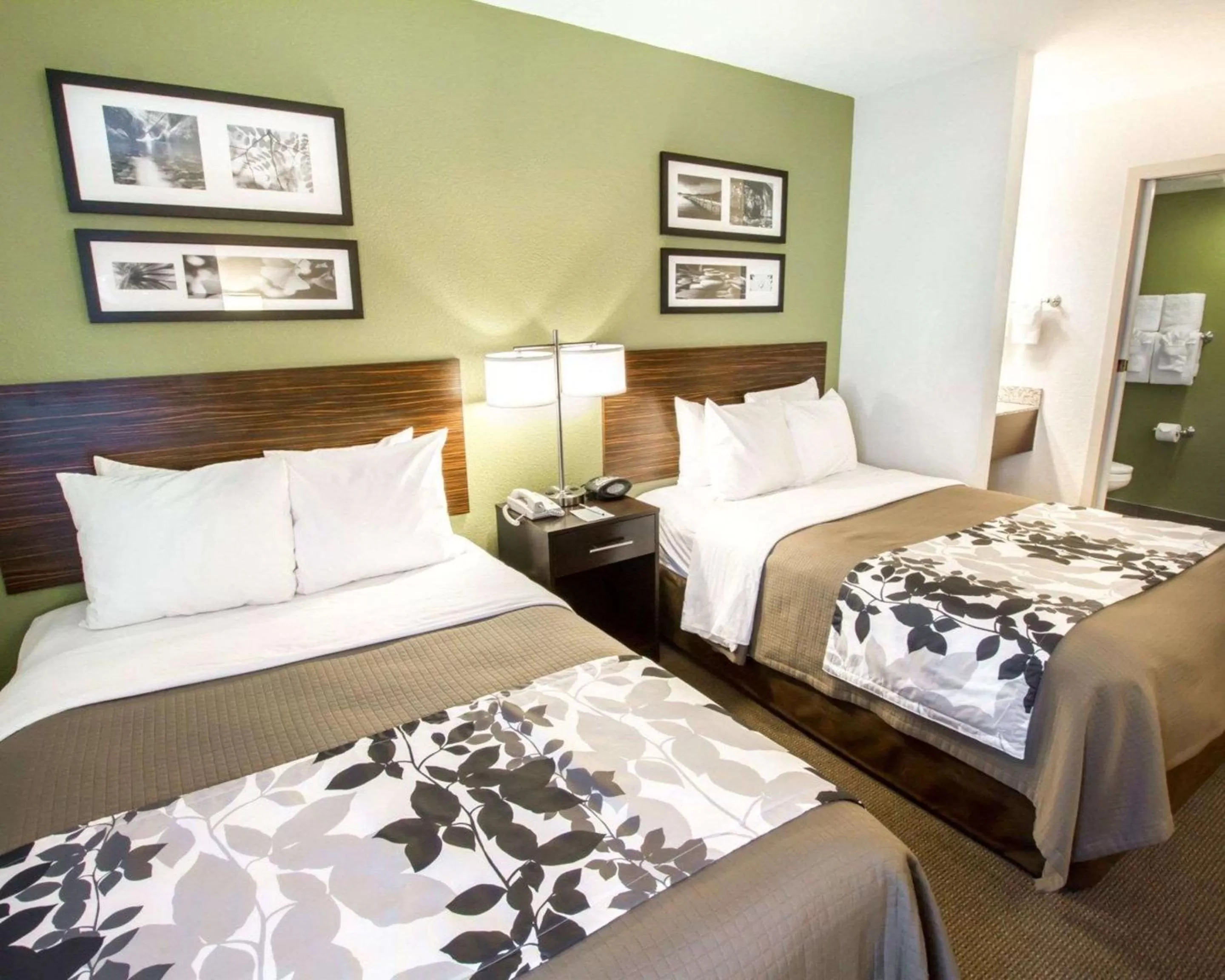 Photo of the whole room, Bed in Sleep Inn North Scottsdale near Mayo Clinic