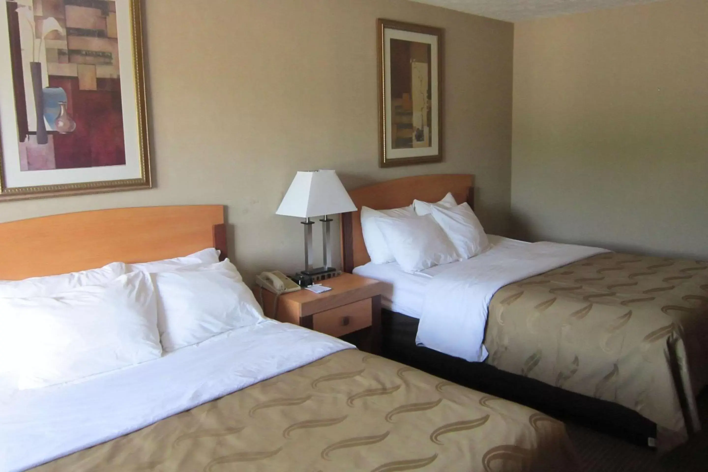 Photo of the whole room, Bed in Quality Inn Nashville – Bloomington