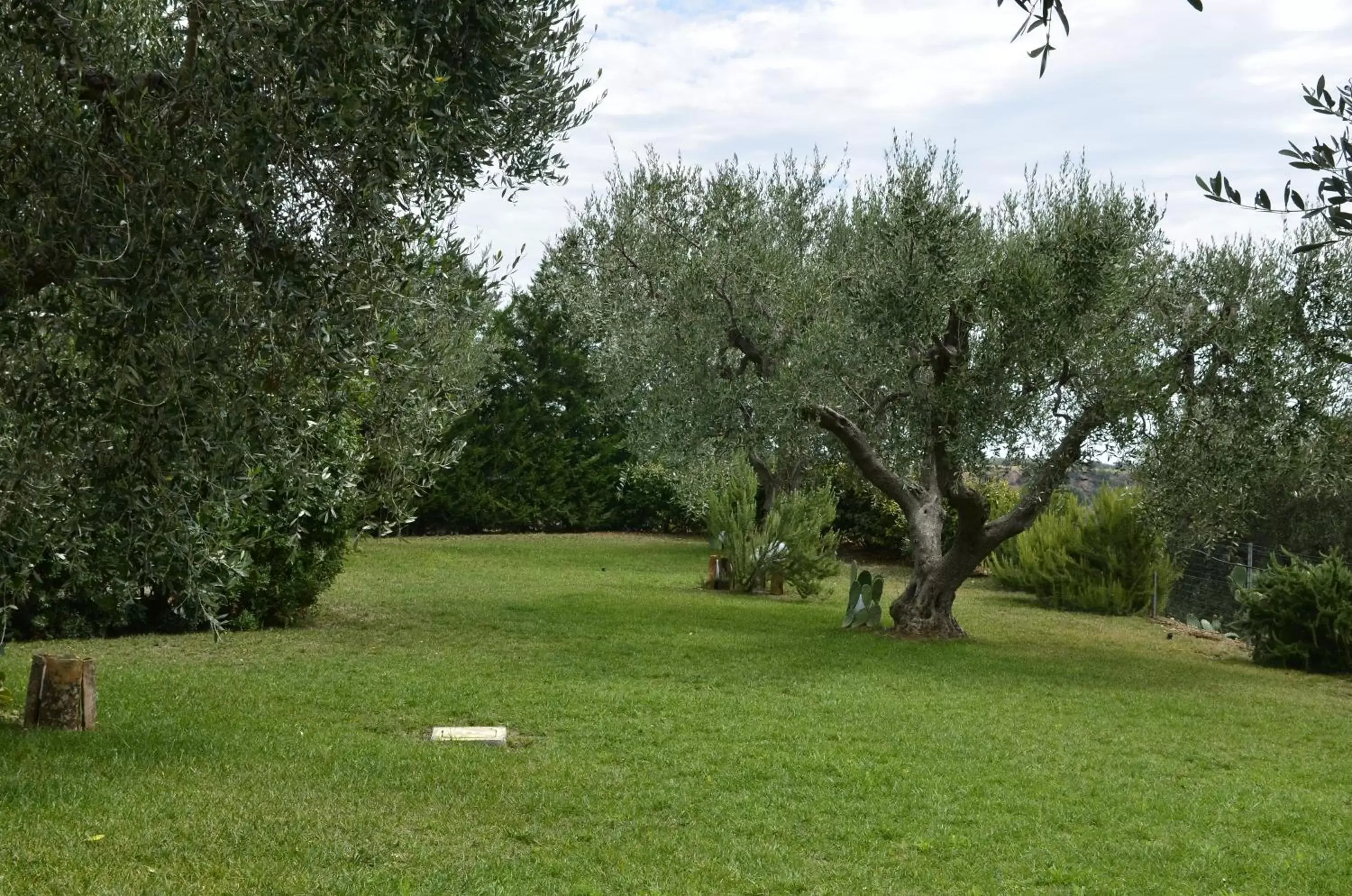 Garden in Hotel Giardino Giamperduto