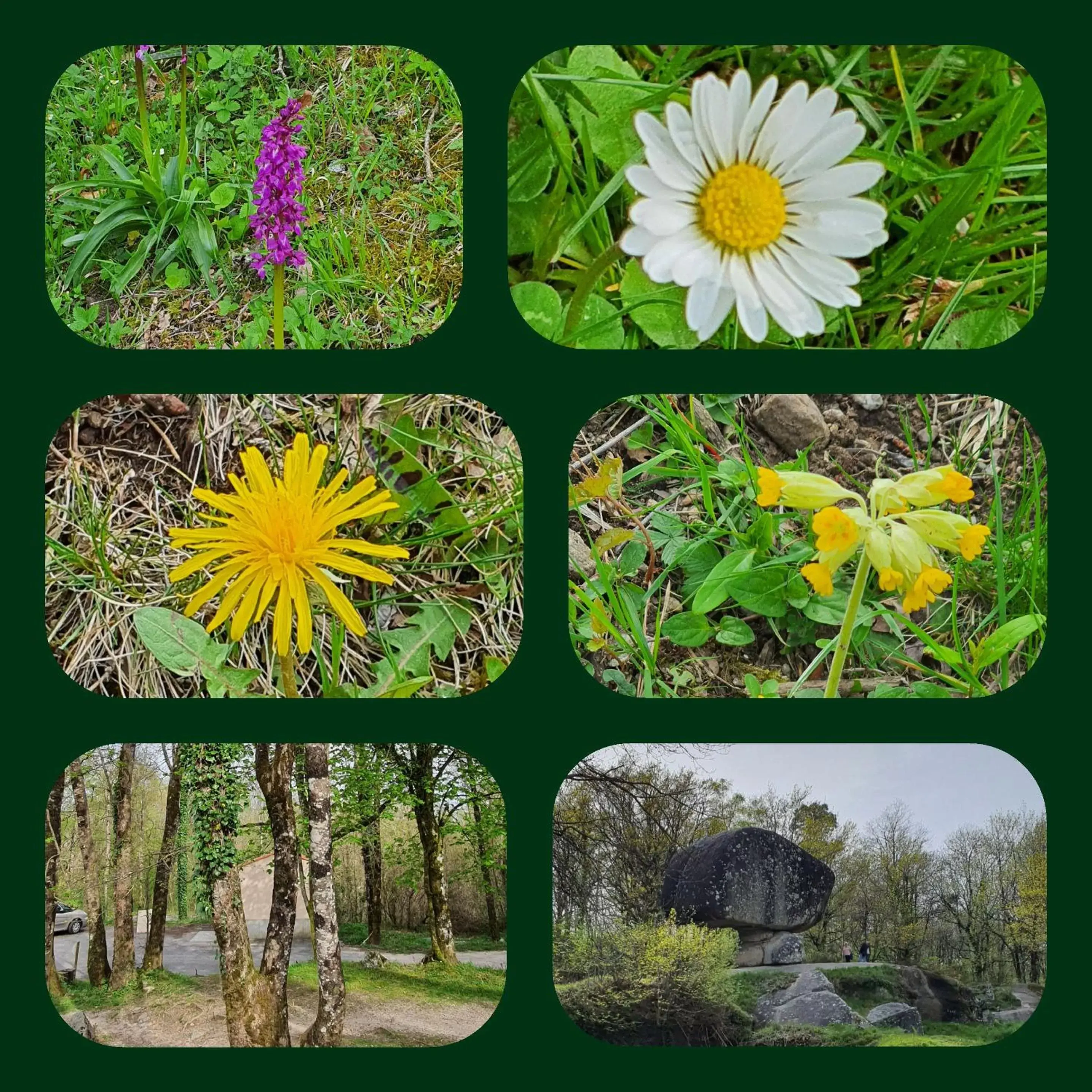 Activities in A l'Ecole Buissonnière