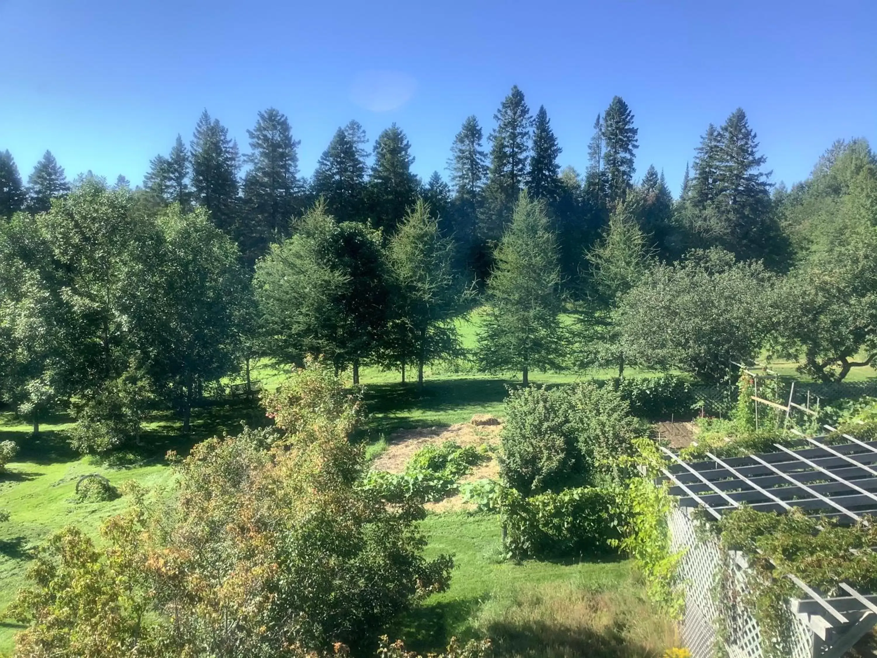 Garden view in Gite chez Gilles Lévesque