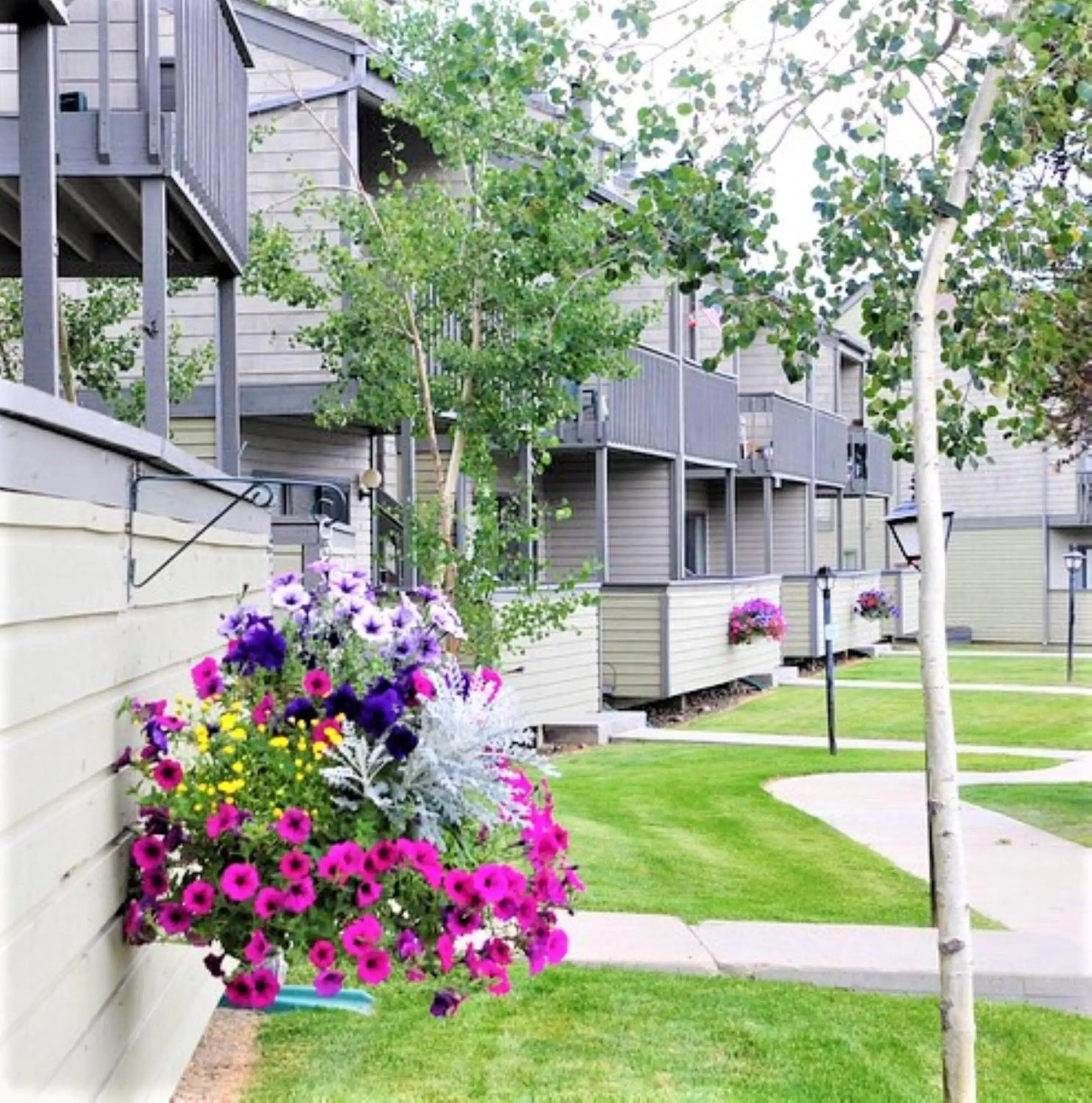 Property building in Pines at Meadow Ridge Property building in Pines at Meadow Ridge