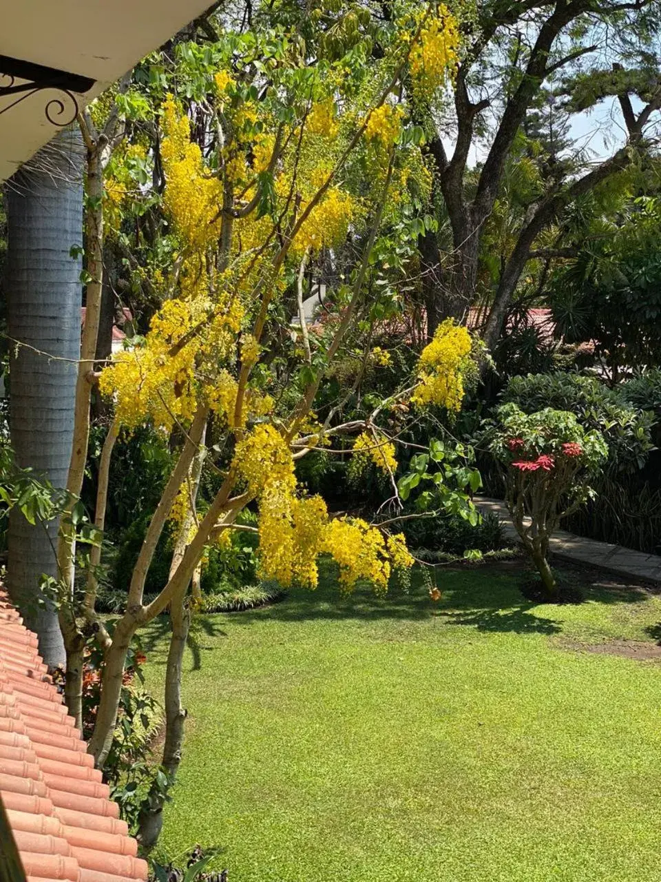 Garden in Hotel Posada Quinta Las Flores