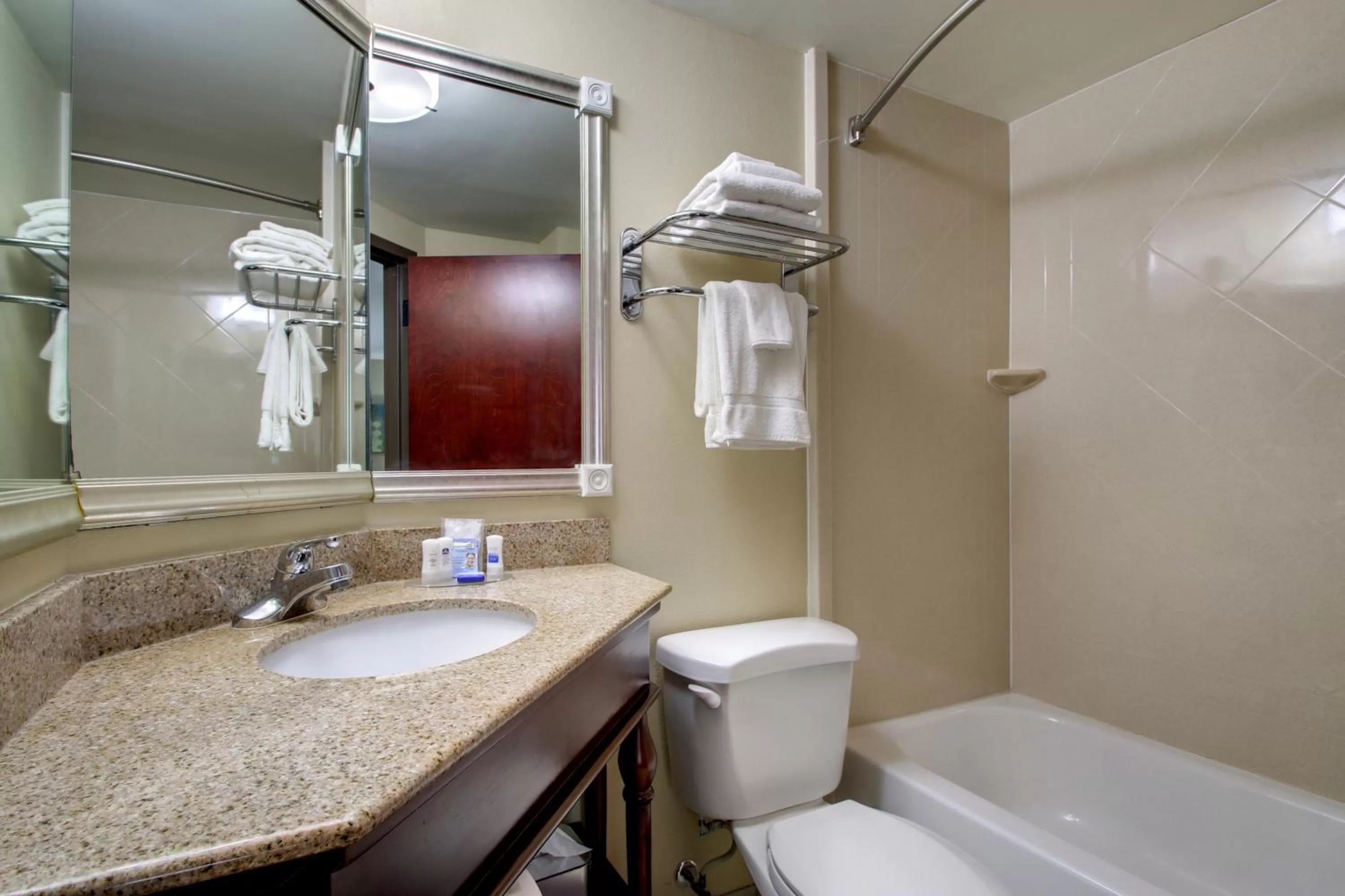 Bathroom in Best Western Eagles Inn