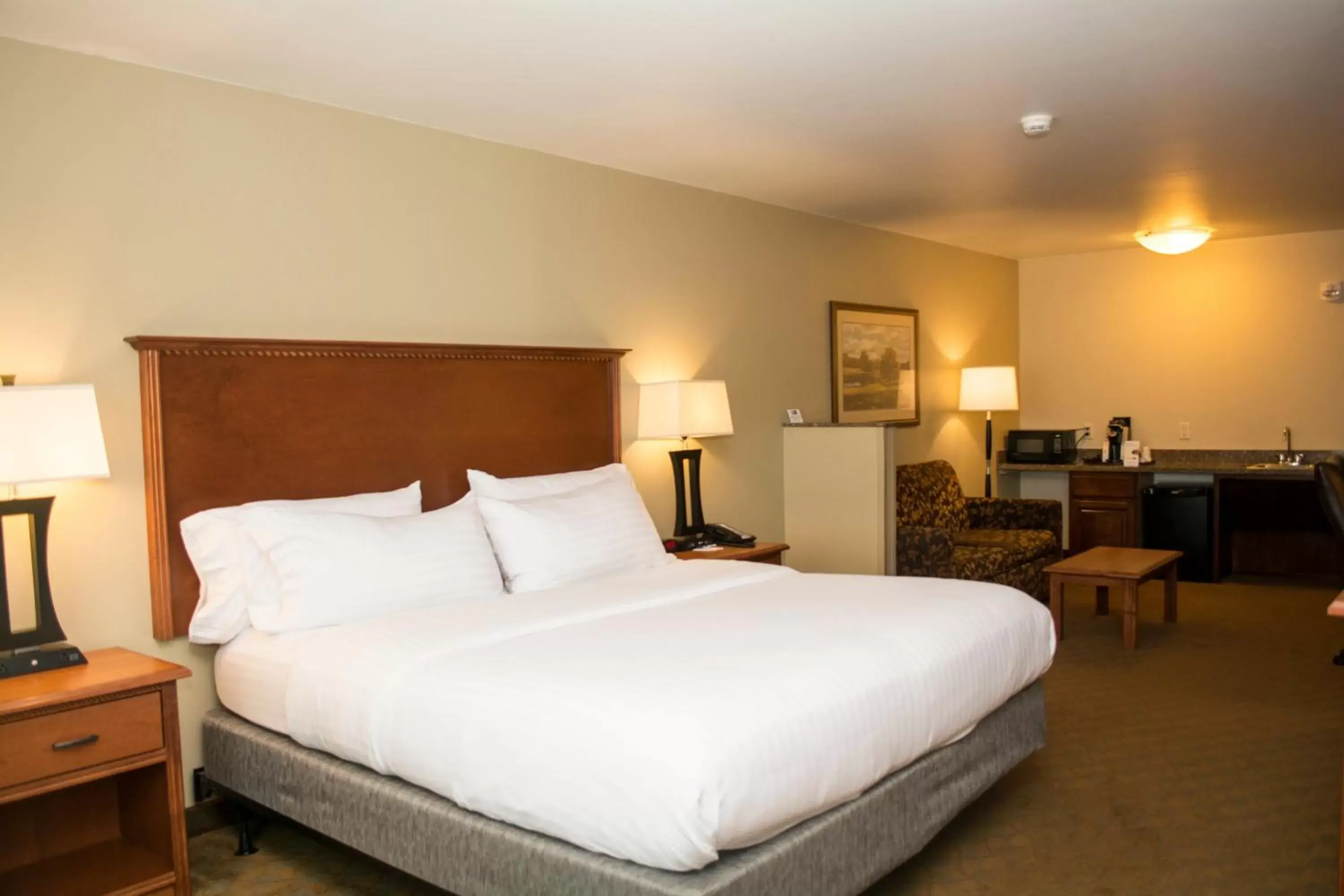 Photo of the whole room, Bed in Holiday Inn Express & Suites - Mason City, an IHG Hotel