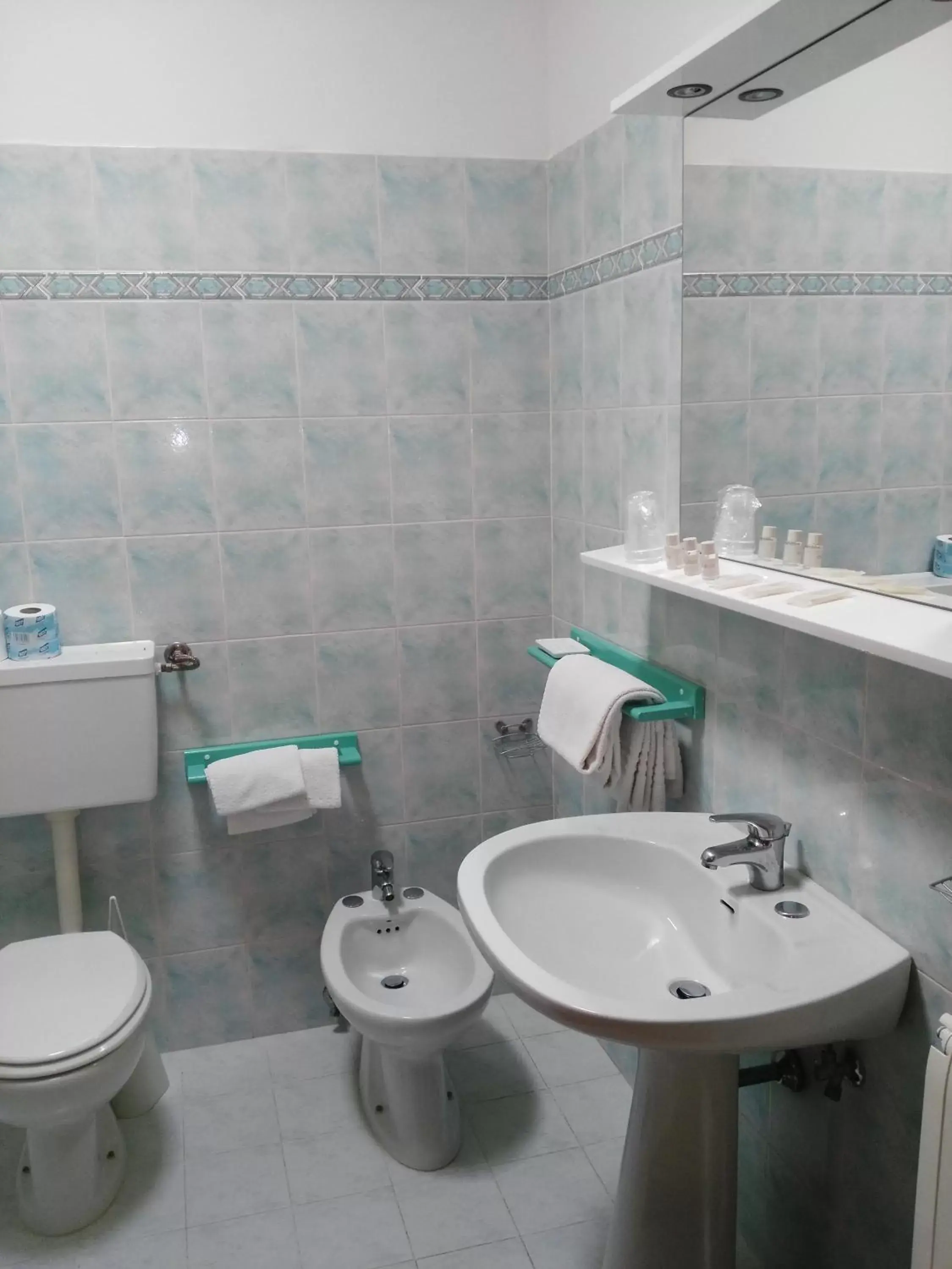 Toilet, Bathroom in Hotel La Meridiana