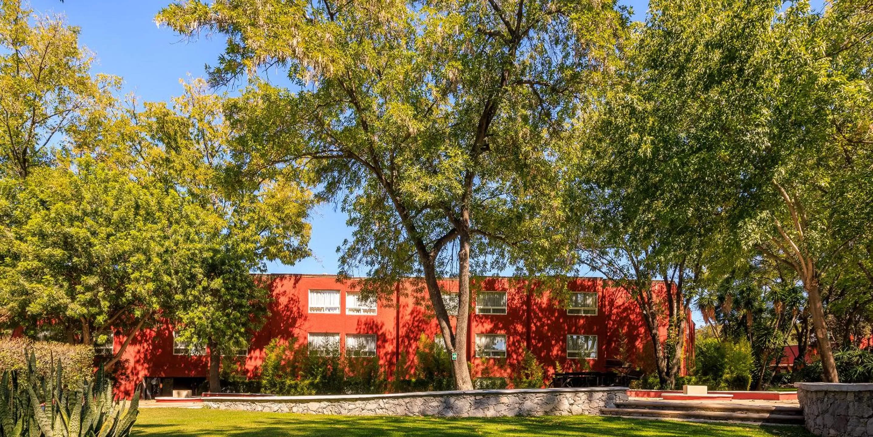 Garden in Real de Minas San Miguel de Allende
