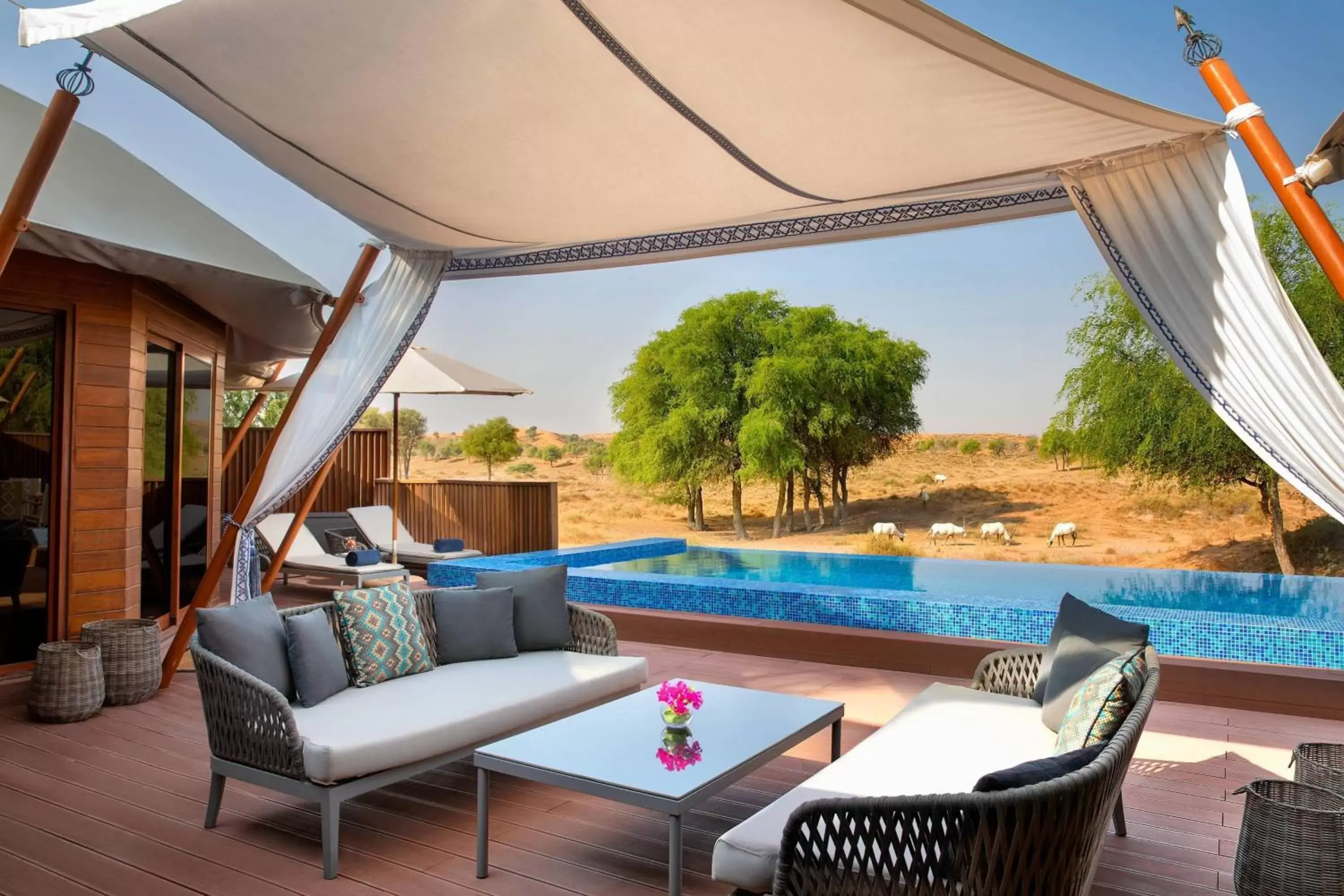 Swimming Pool in The Ritz-Carlton Ras Al Khaimah, Al Wadi Desert