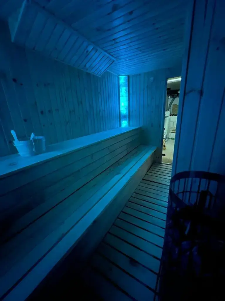 Sauna in Levoslav House Hotel