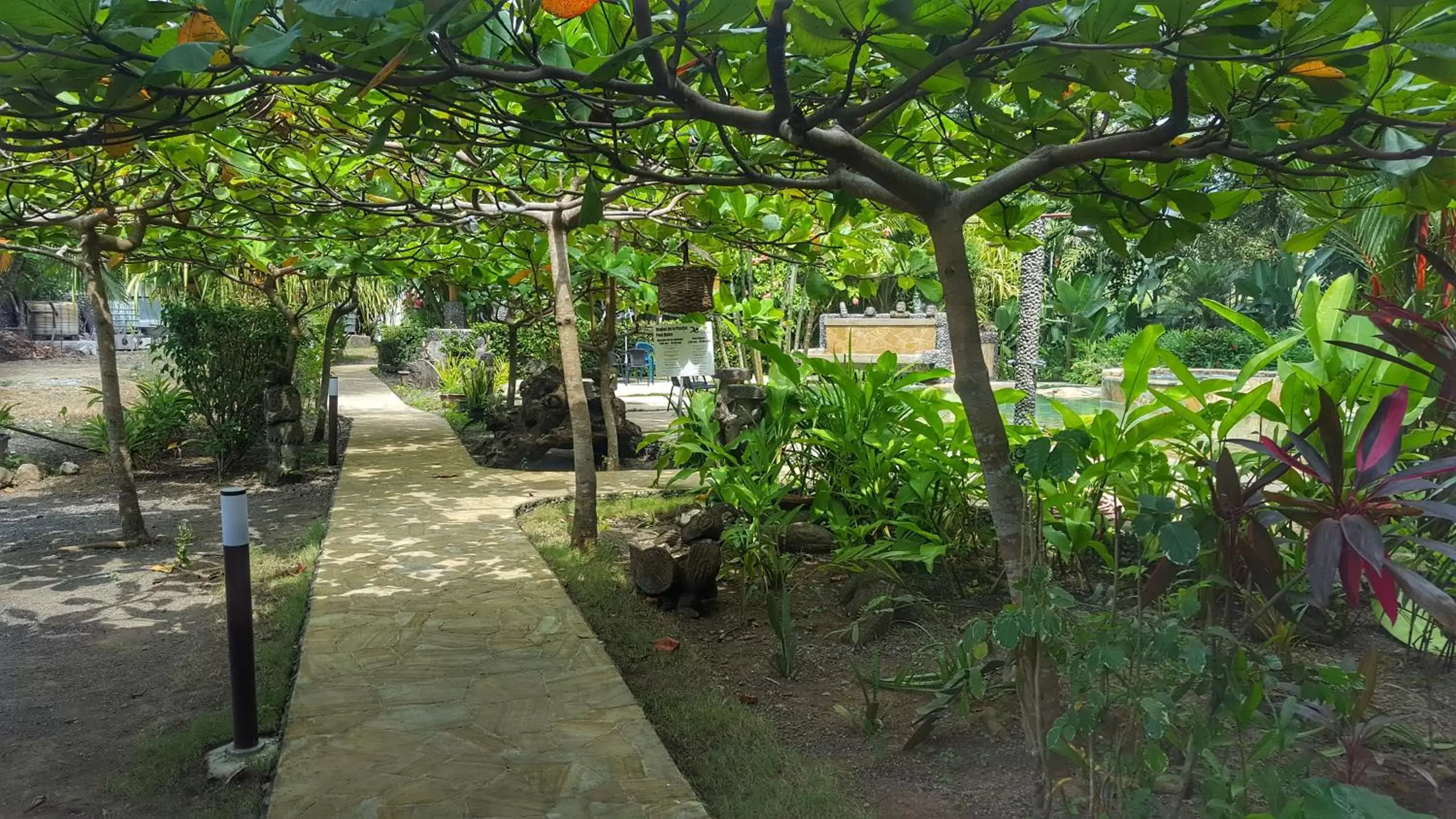 Garden in Pacifico Loft Hotel