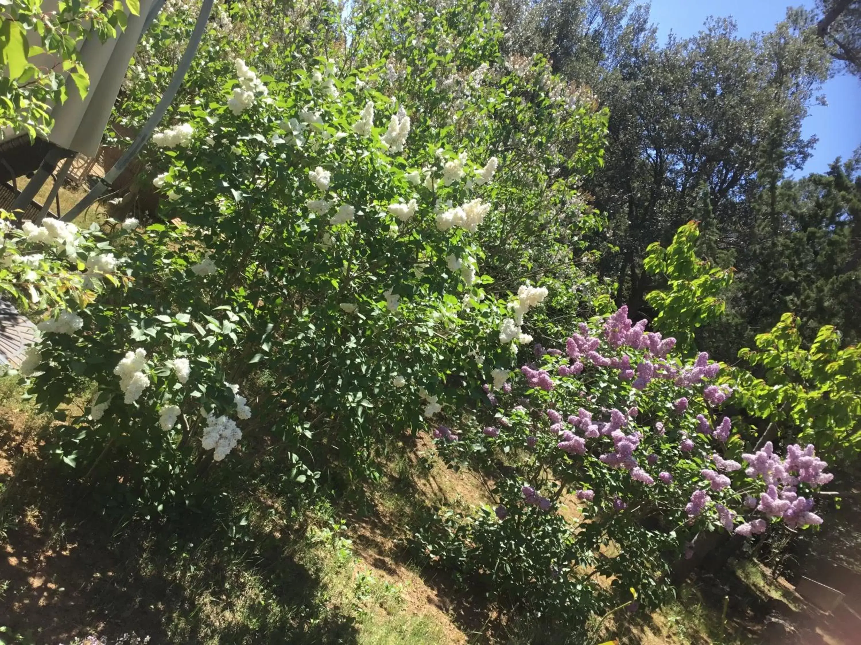 Garden in Longo Maï