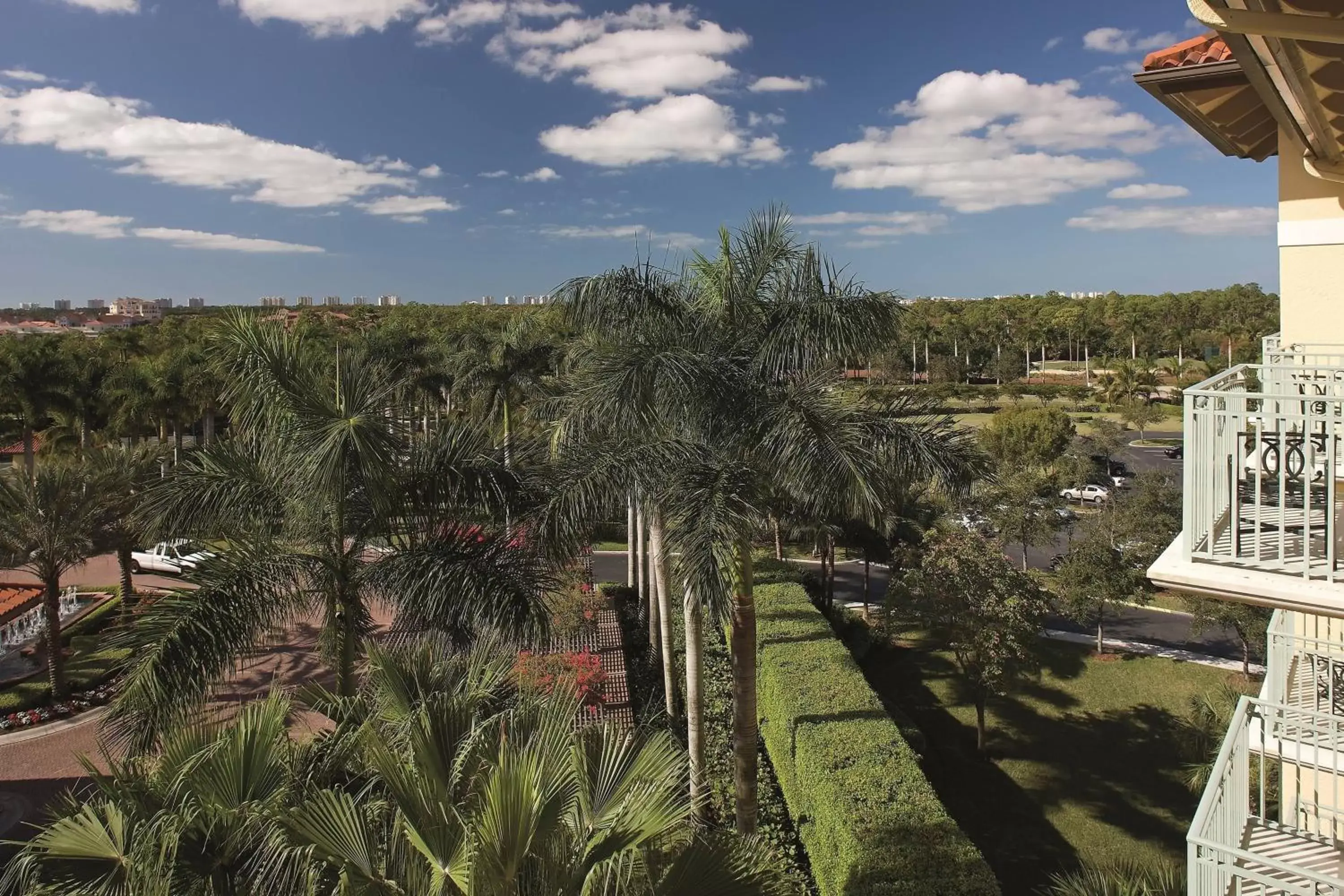 Photo of the whole room in The Ritz-Carlton Naples, Tiburón