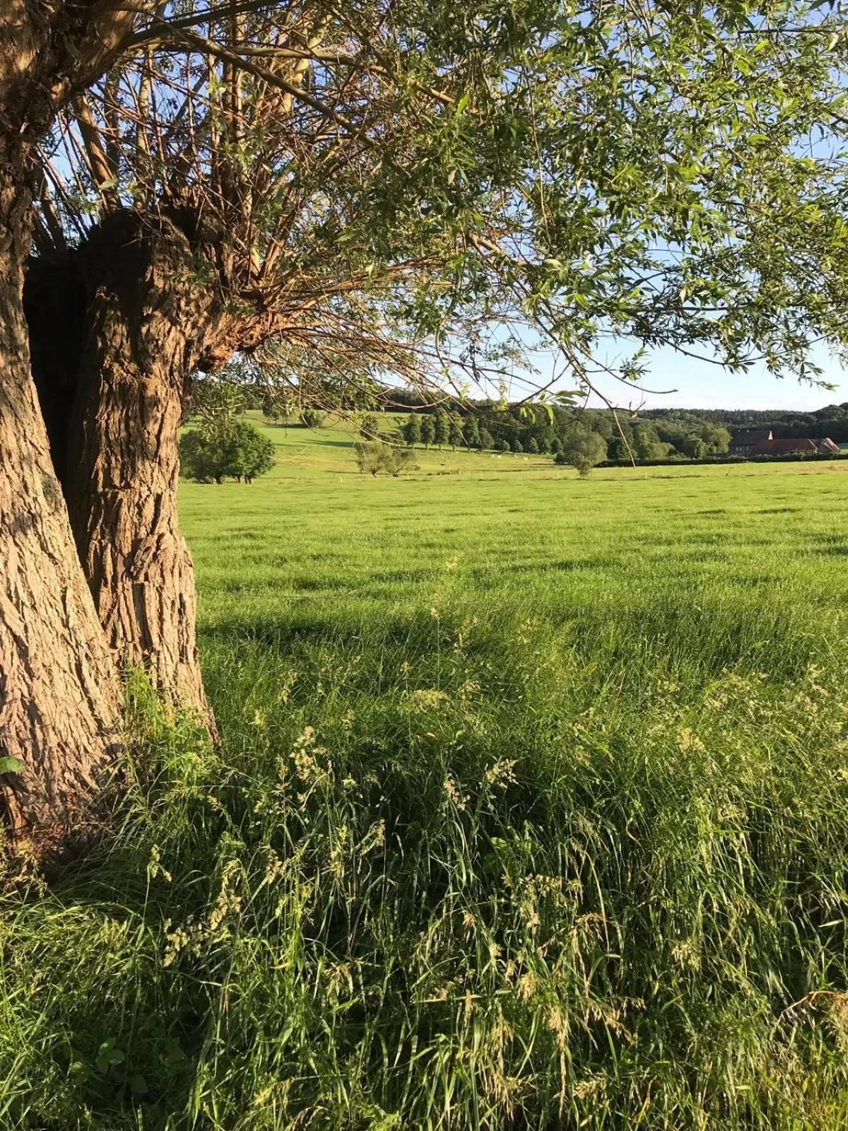 Natural landscape in B&B Holset70