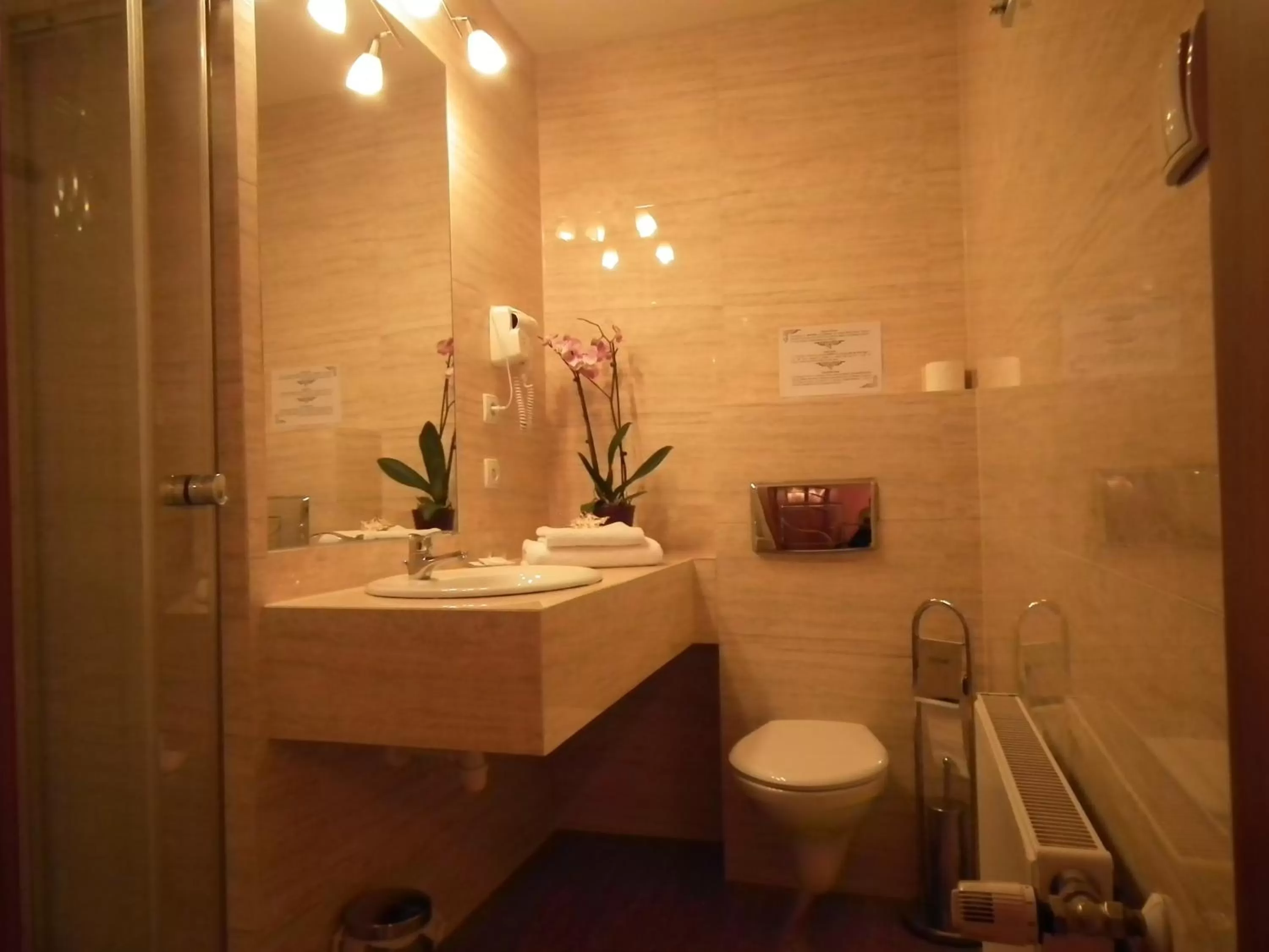 Shower in Aparthotel Adler