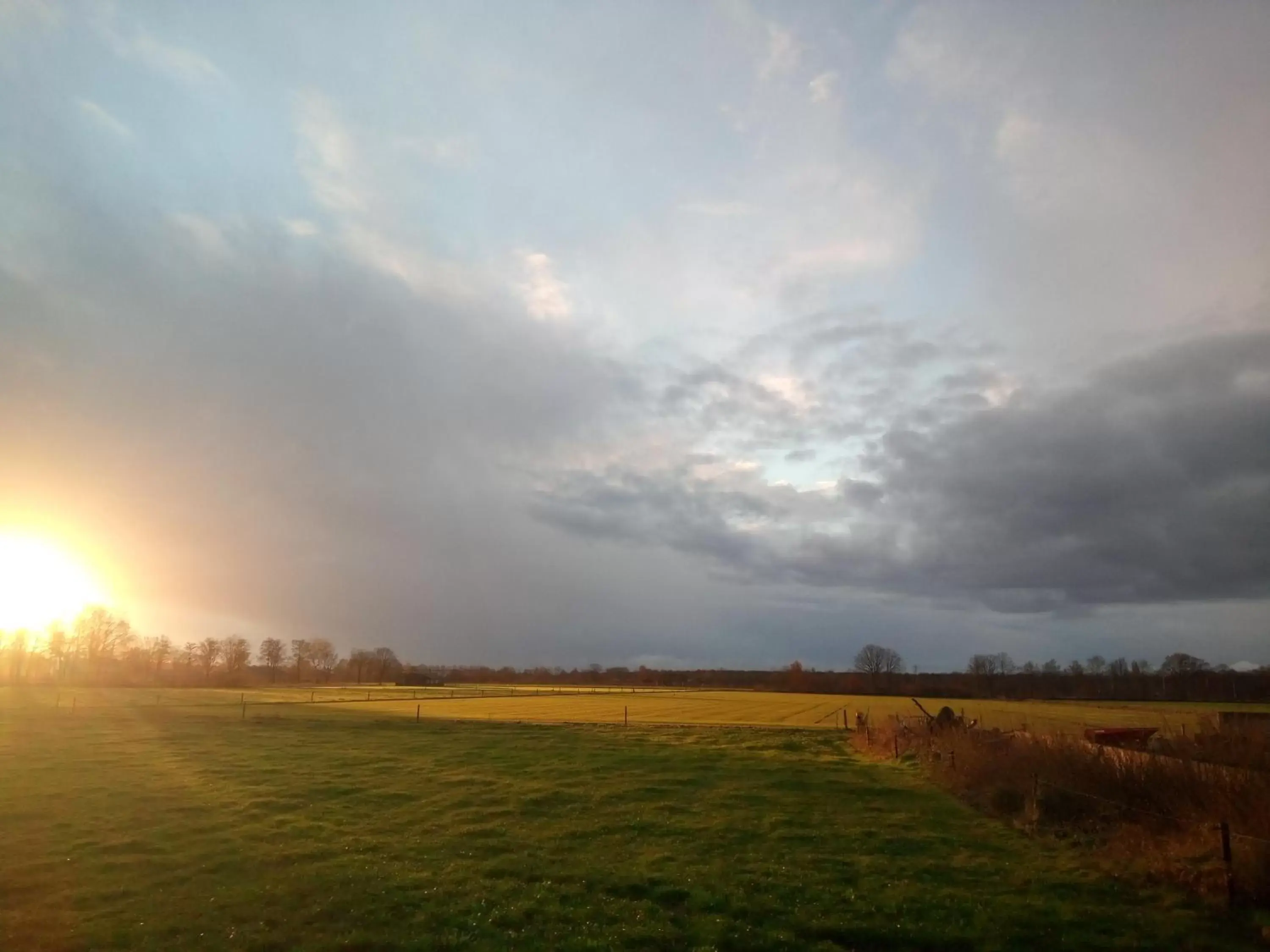 Natural Landscape in B&B In de Wei