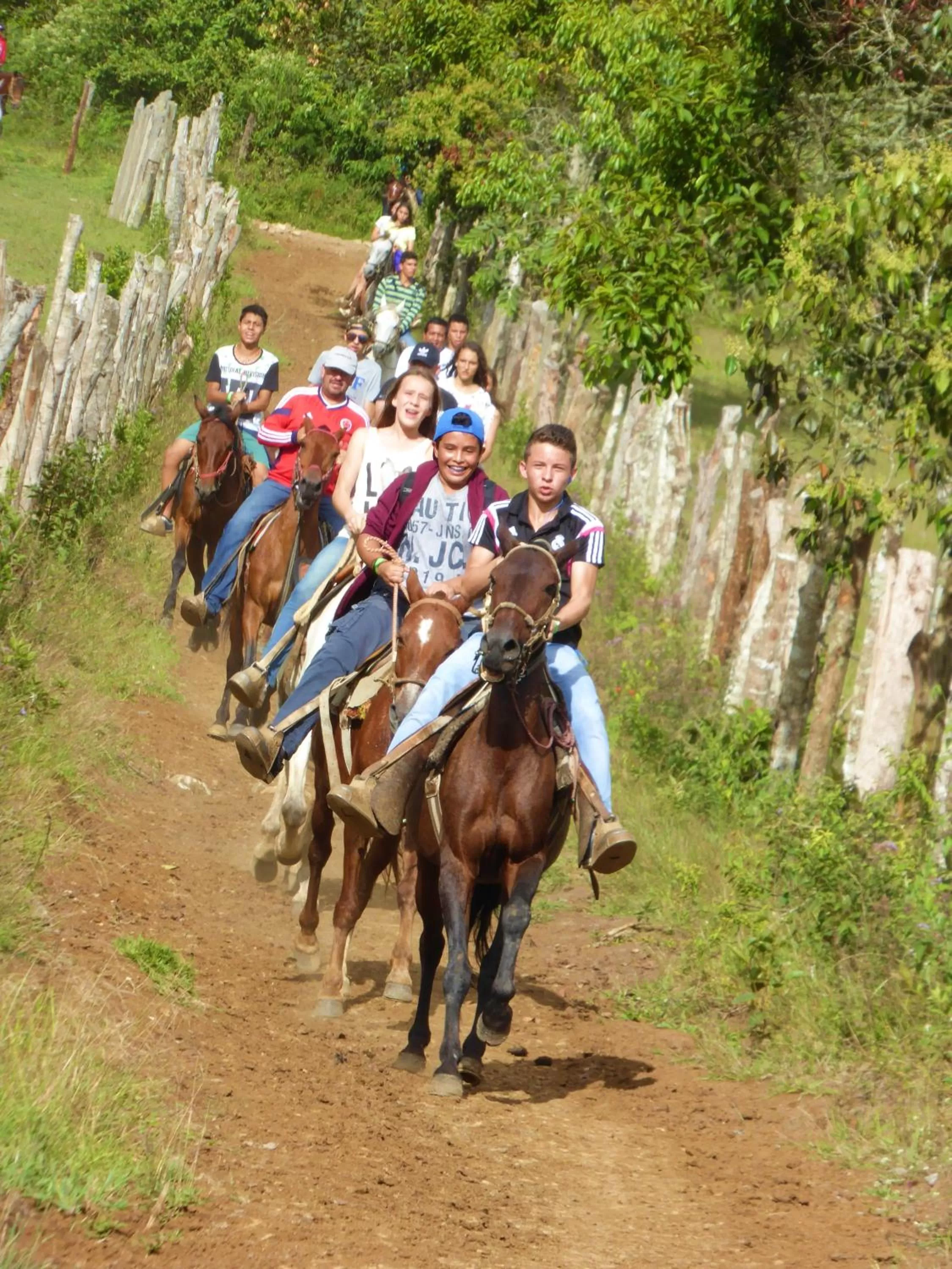 Horse-riding in Finca El Cielo