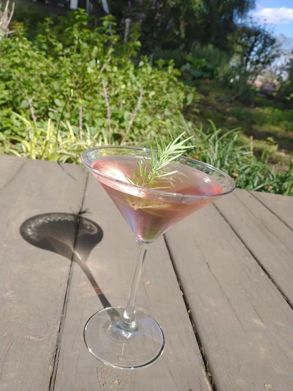 Lounge or bar, Drinks in The Babcock House