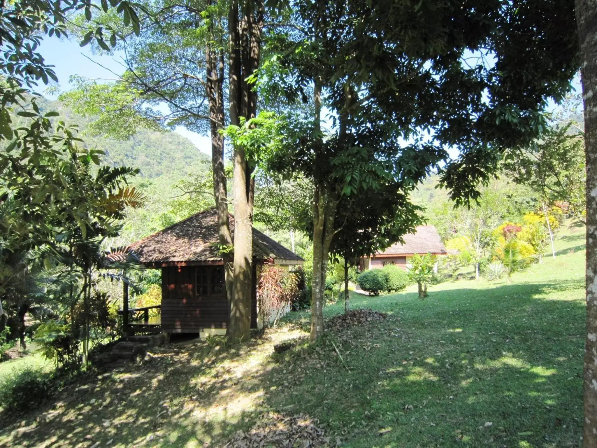 Garden in Phanom Bencha Mountain Resort