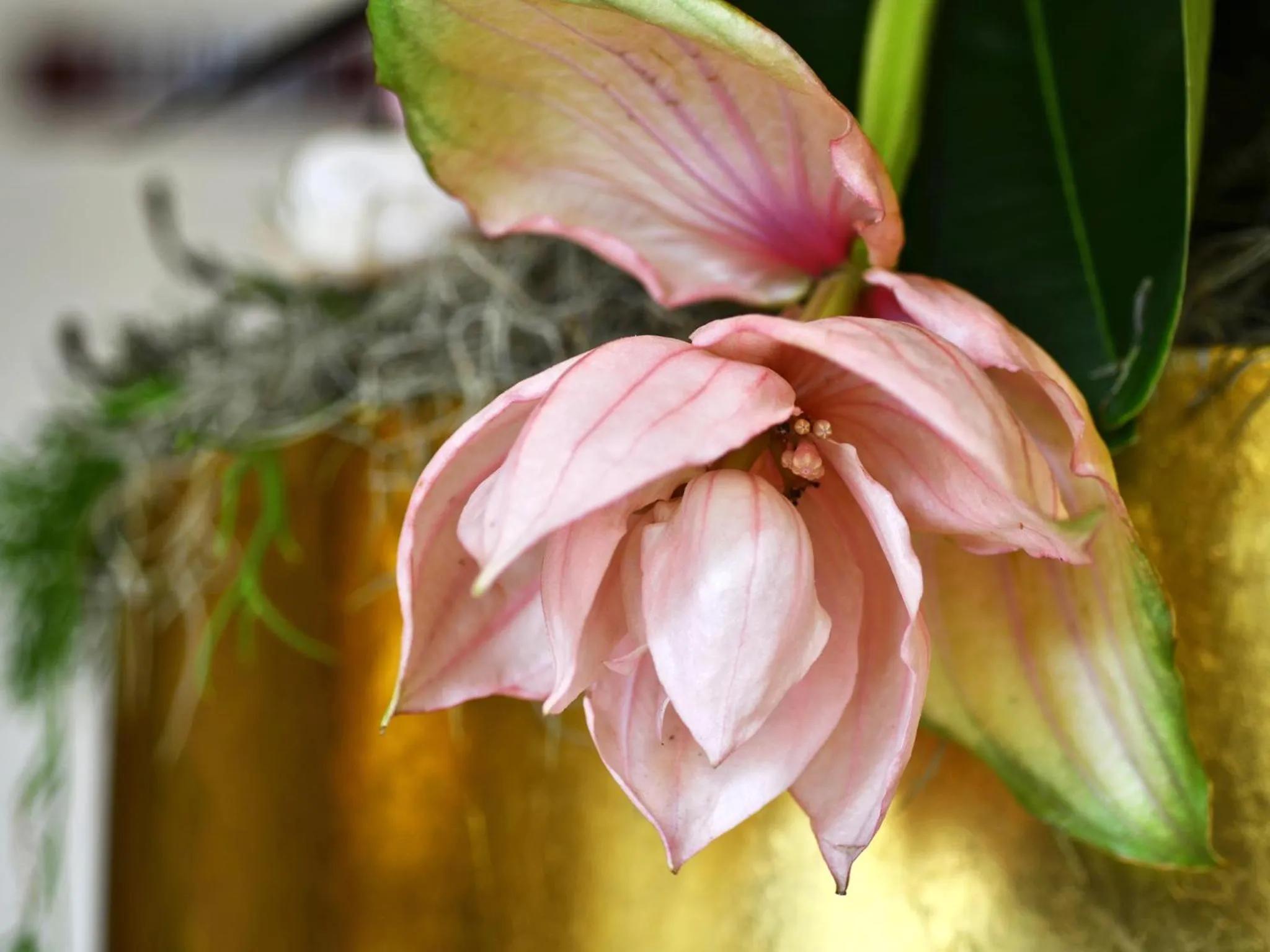 Lobby or reception in Comfort Hotel tom Kyle