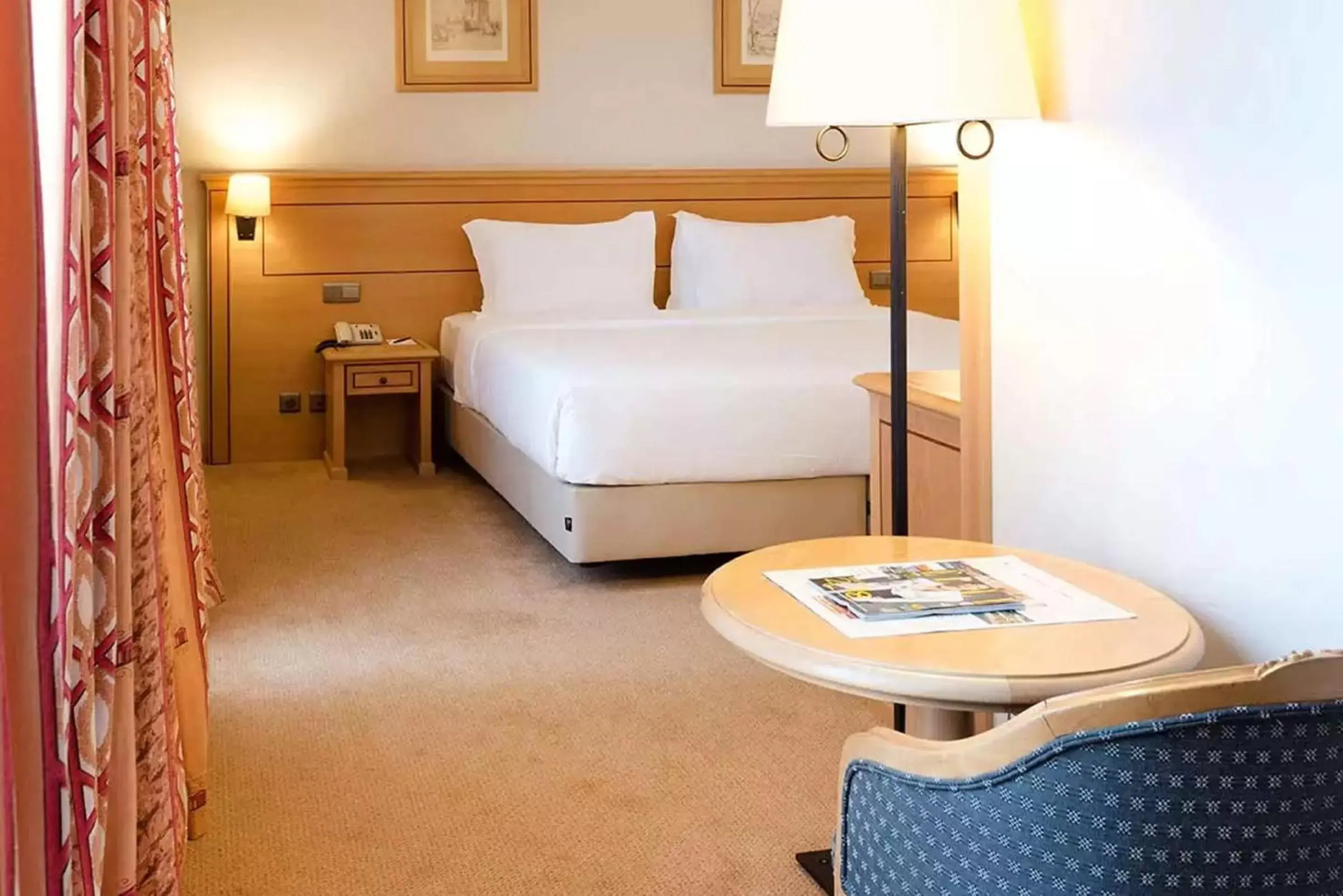 Superior Double Room in Hotel Real Palacio