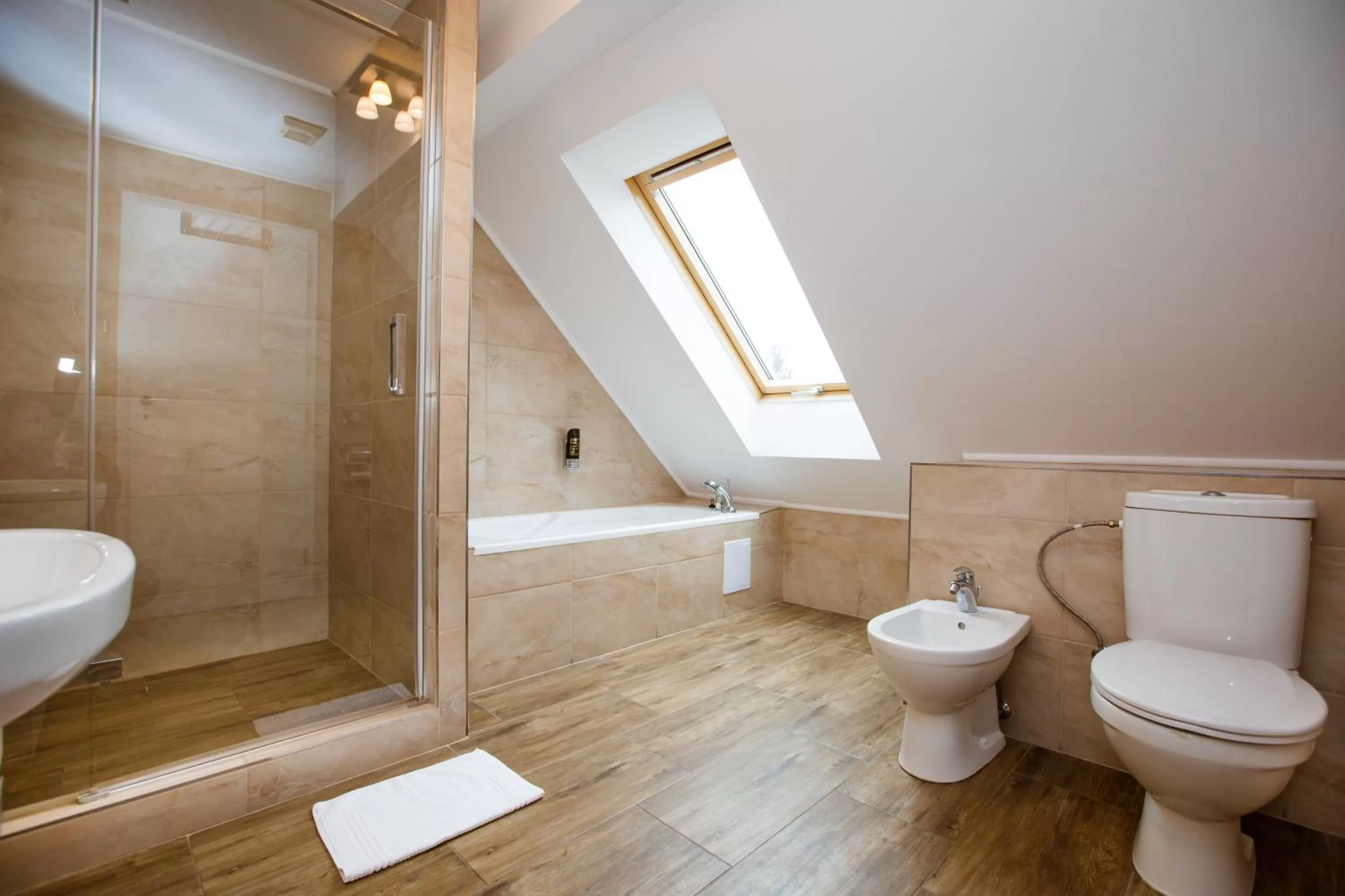 Bathroom in Hotel Litovel