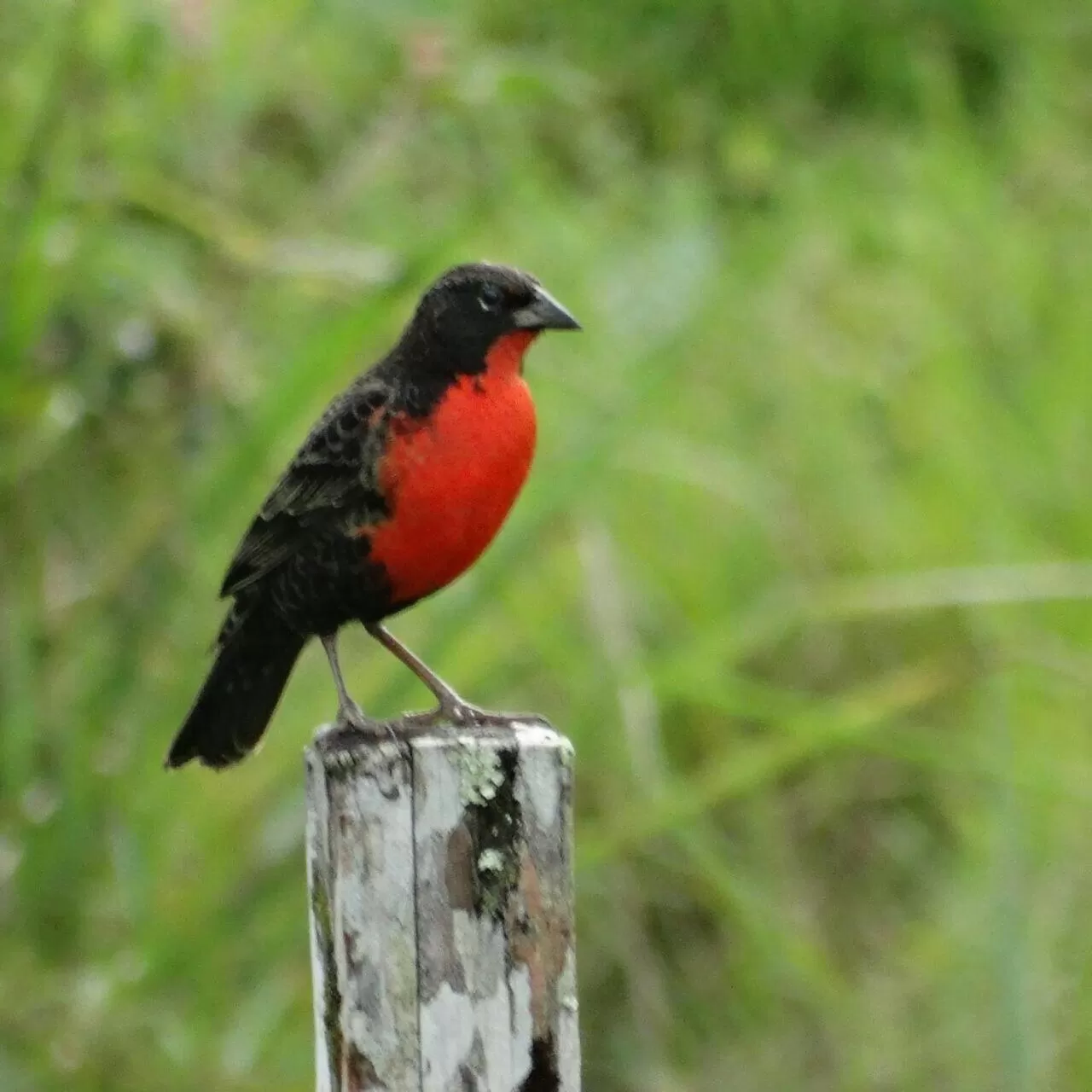 Activities in Posada Turística Rocas De Cabo Marzo