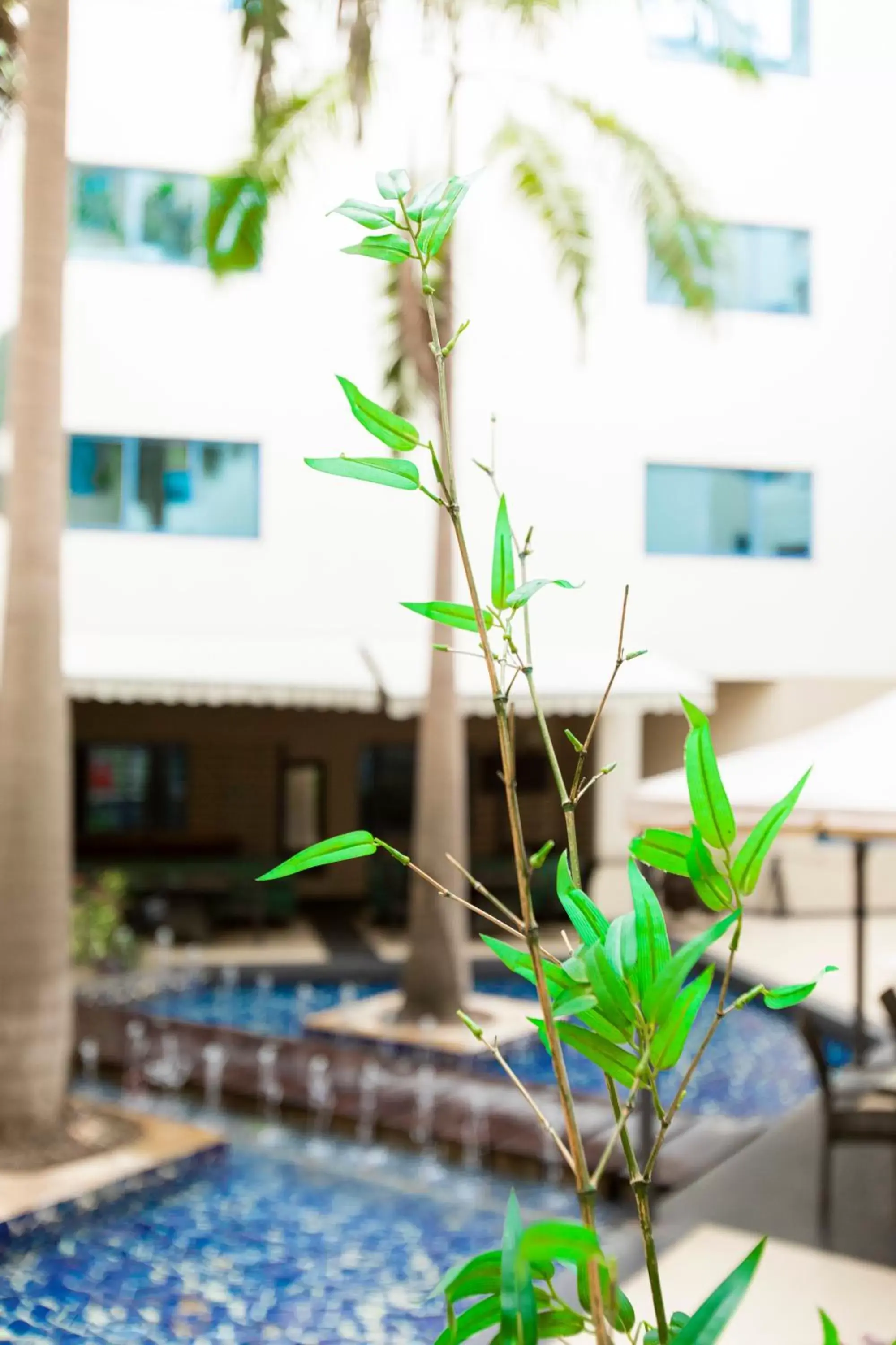 Other, Swimming Pool in Best Western Premier Accra Airport Hotel