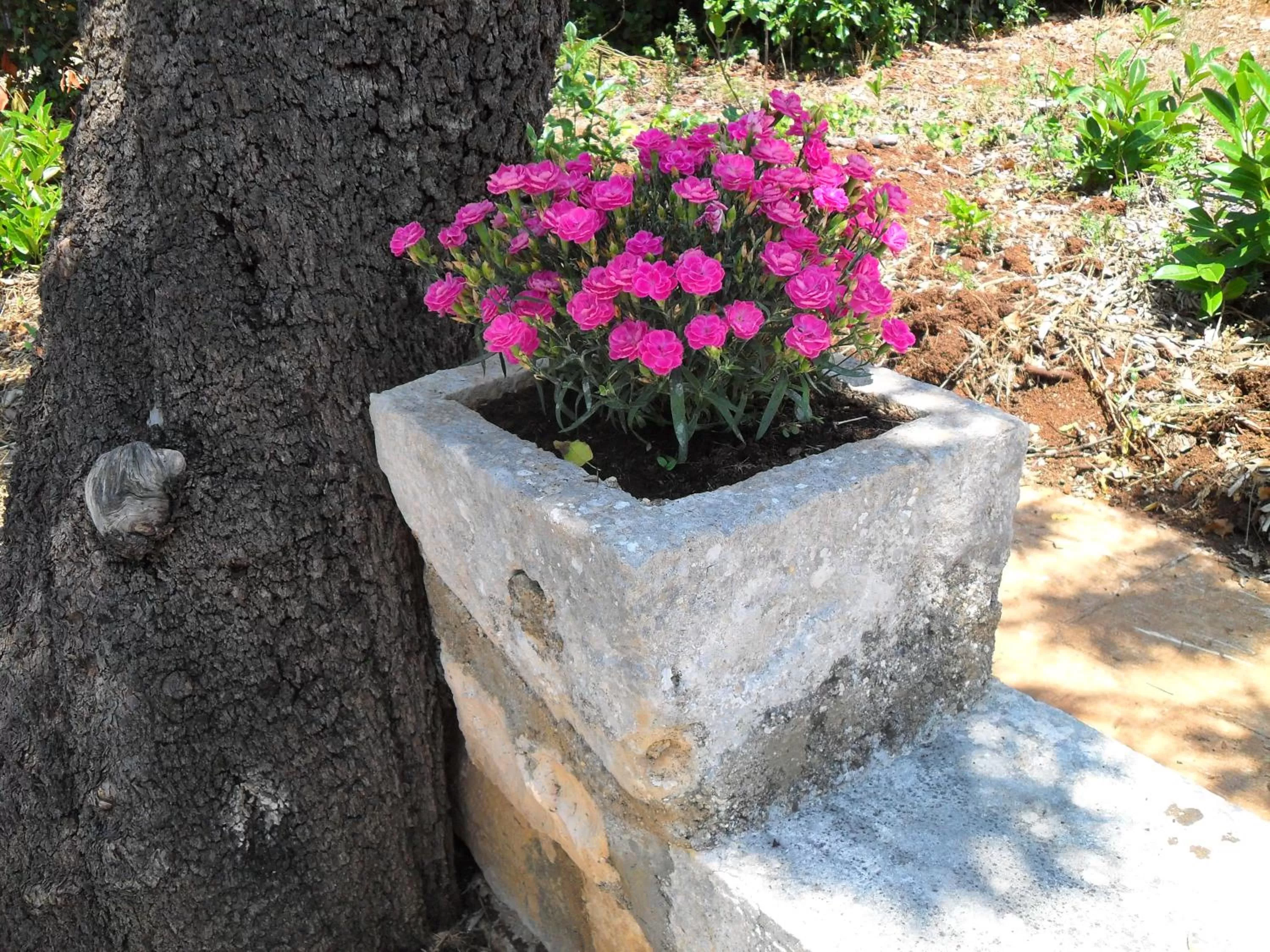 Decorative detail in i gù books & rooms