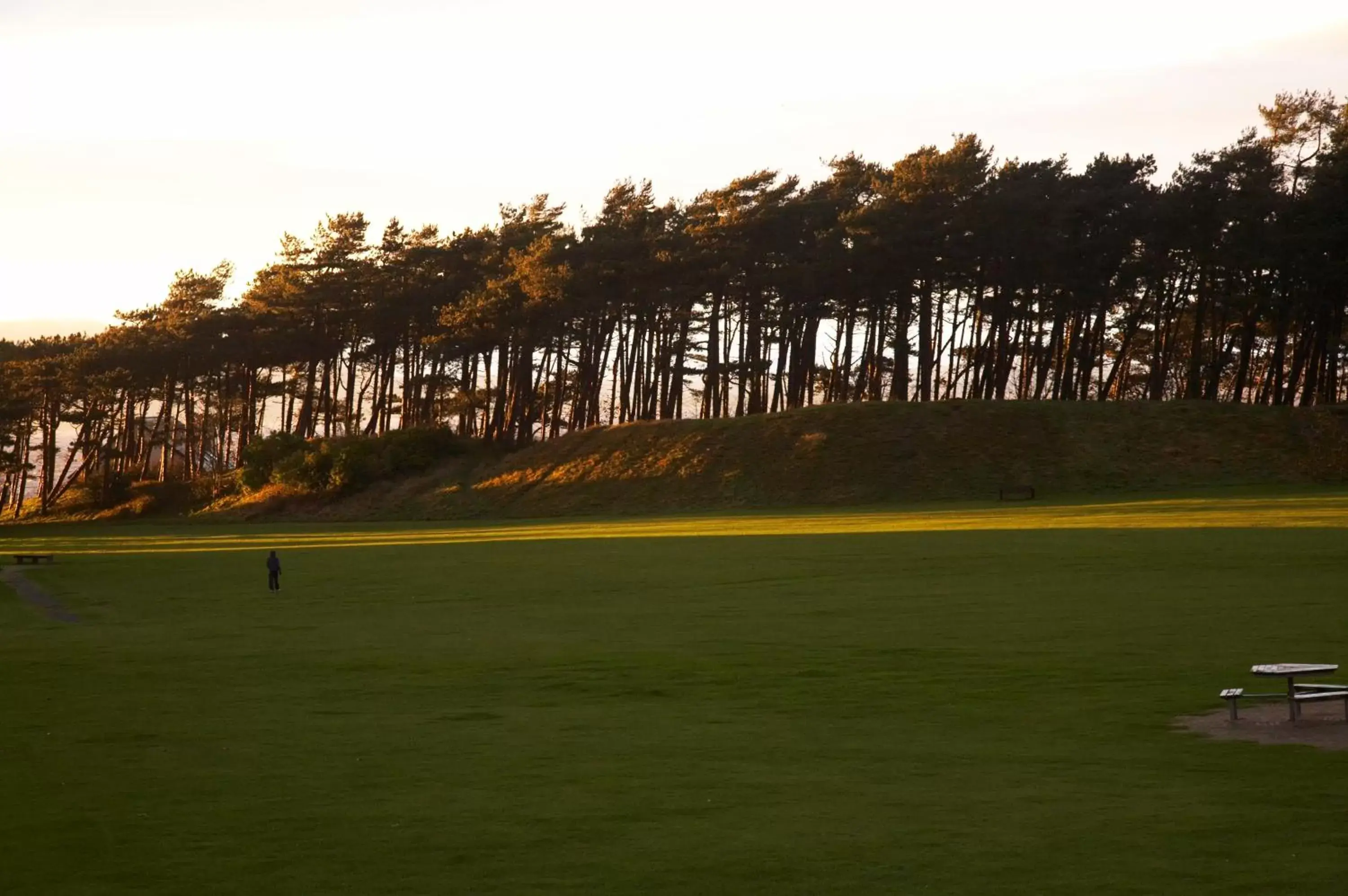 Area and facilities in The Golf Hotel