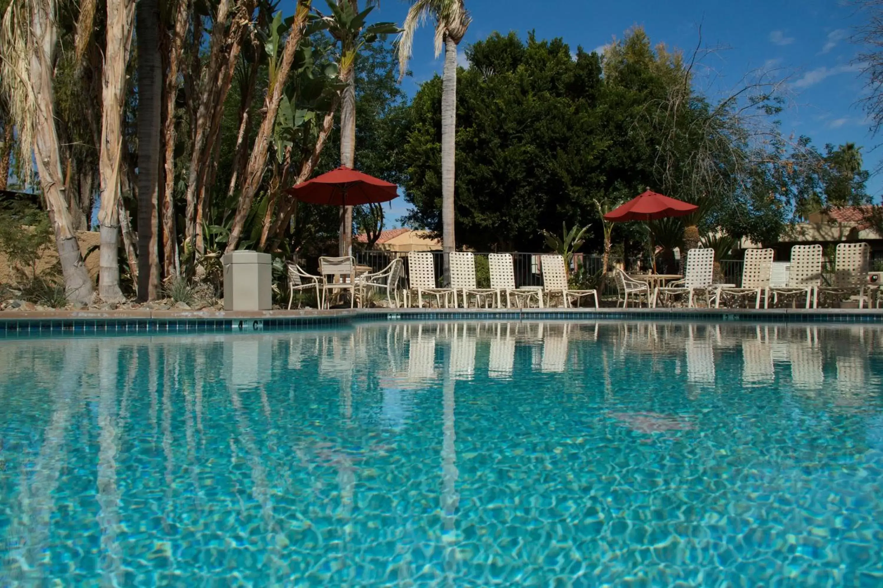 Swimming Pool in The Oasis Resort