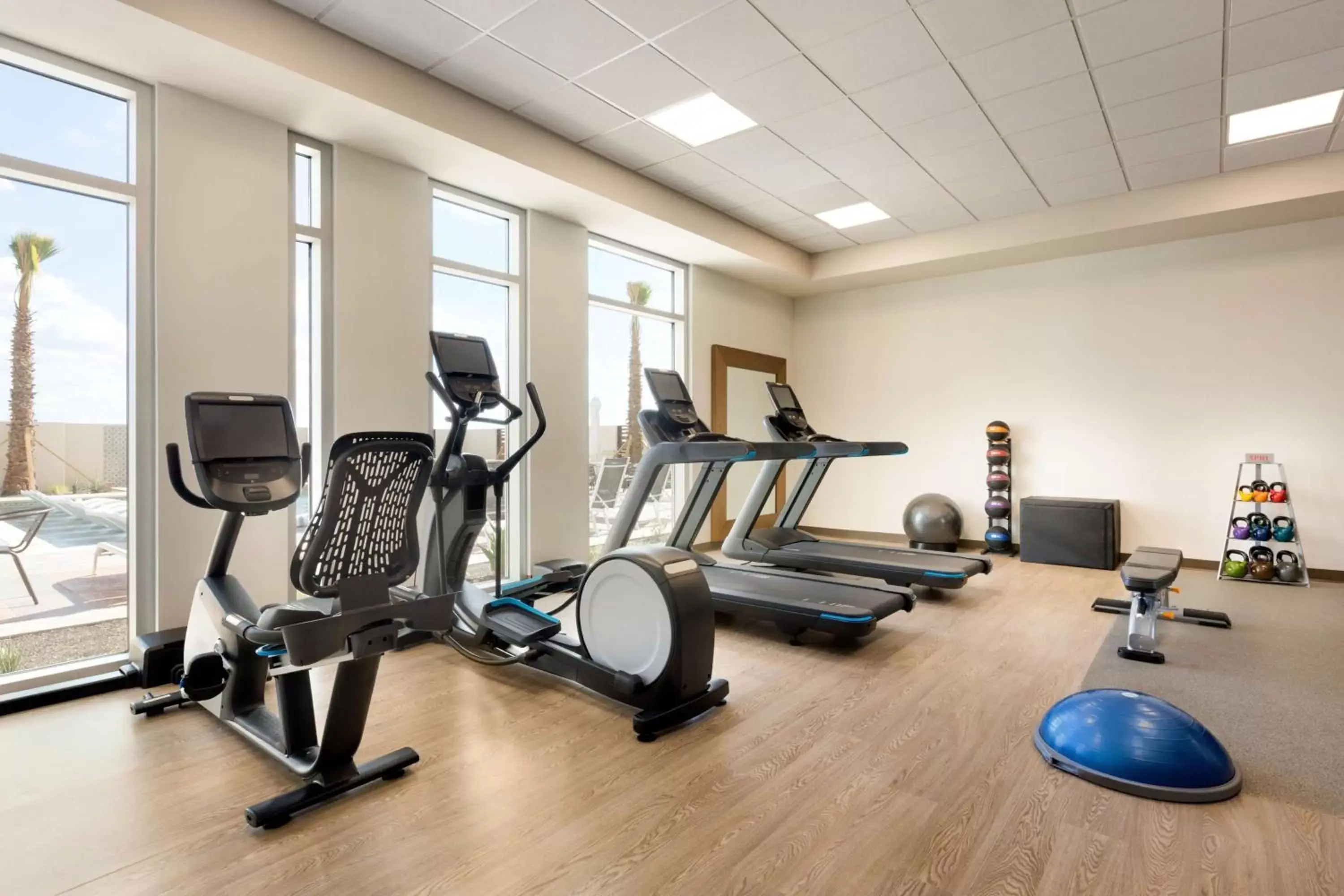 Fitness centre/facilities, Fitness Center/Facilities in Embassy Suites By Hilton San Antonio Landmark