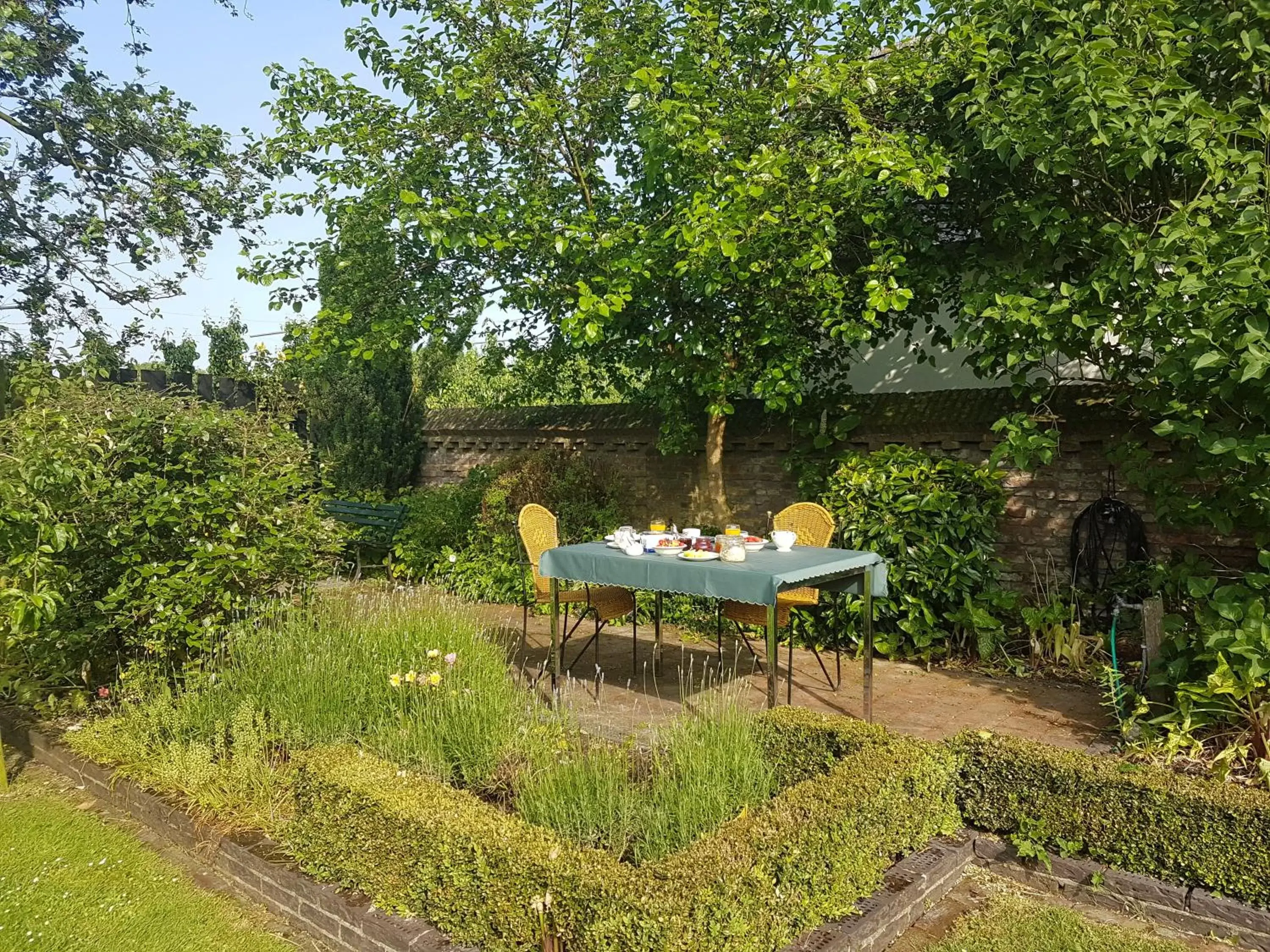 Garden in B&B 't Pakhuis