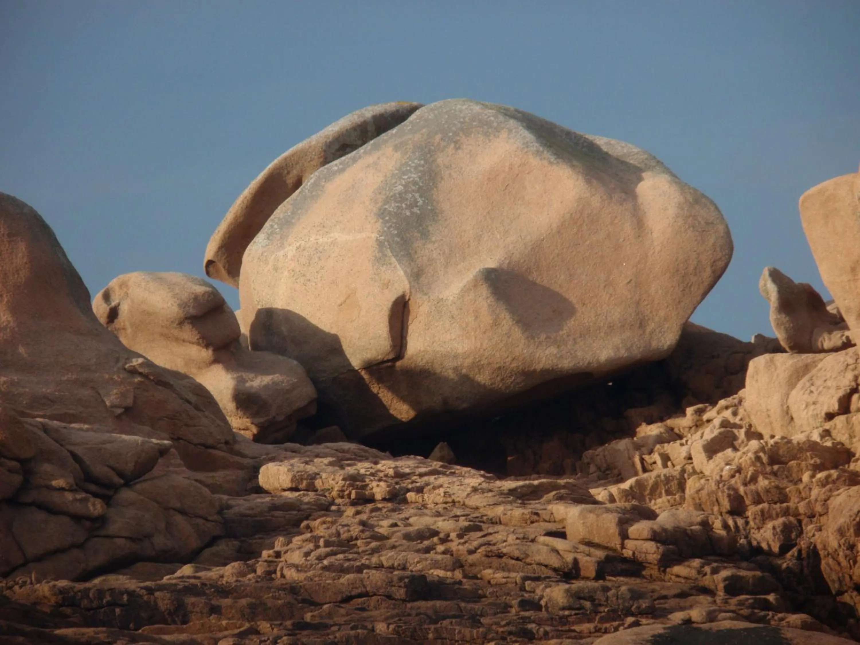 Area and facilities in Citotel Les Sternes