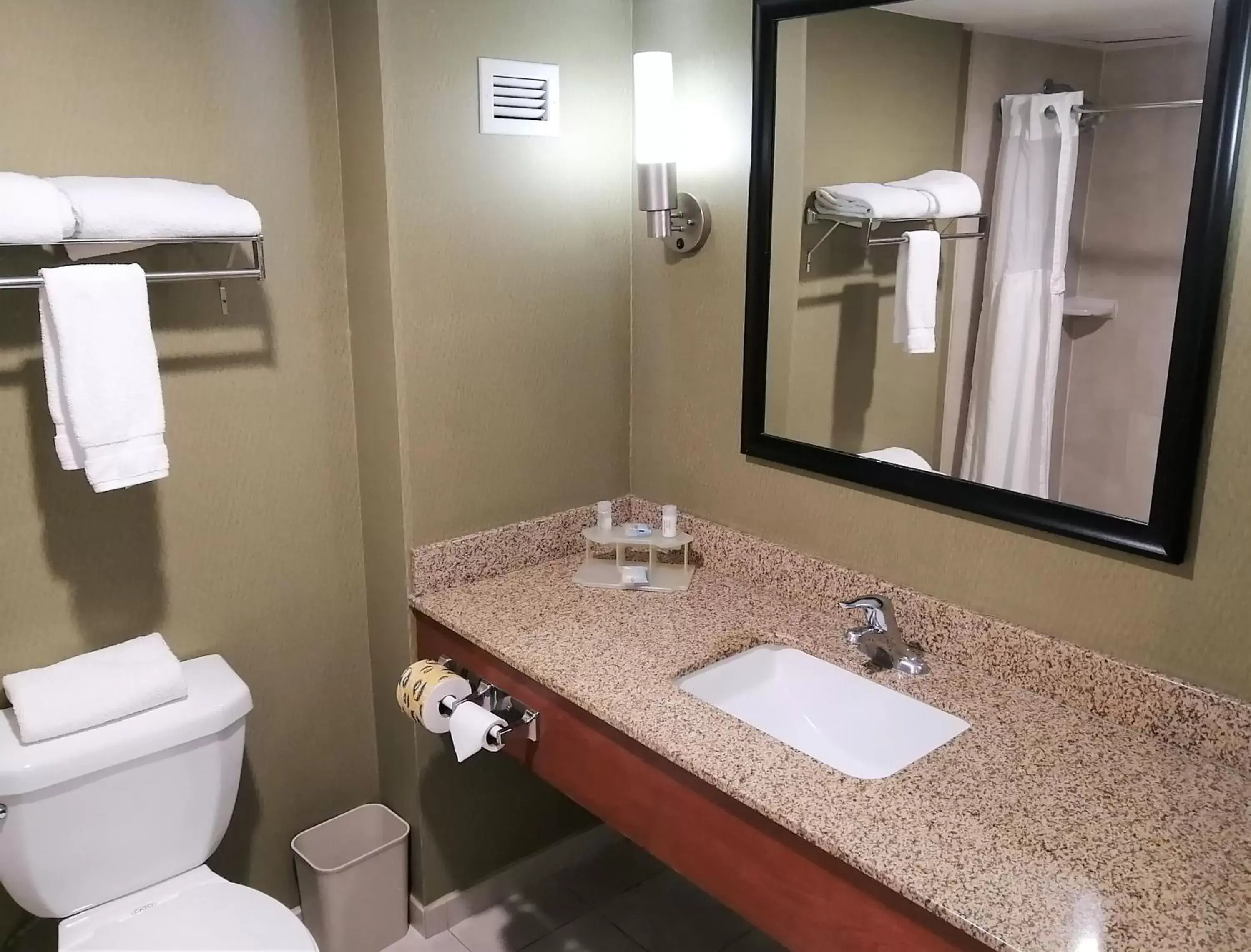 Bathroom in Holiday Inn Express & Suites Toluca Zona Aeropuerto, an IHG Hotel