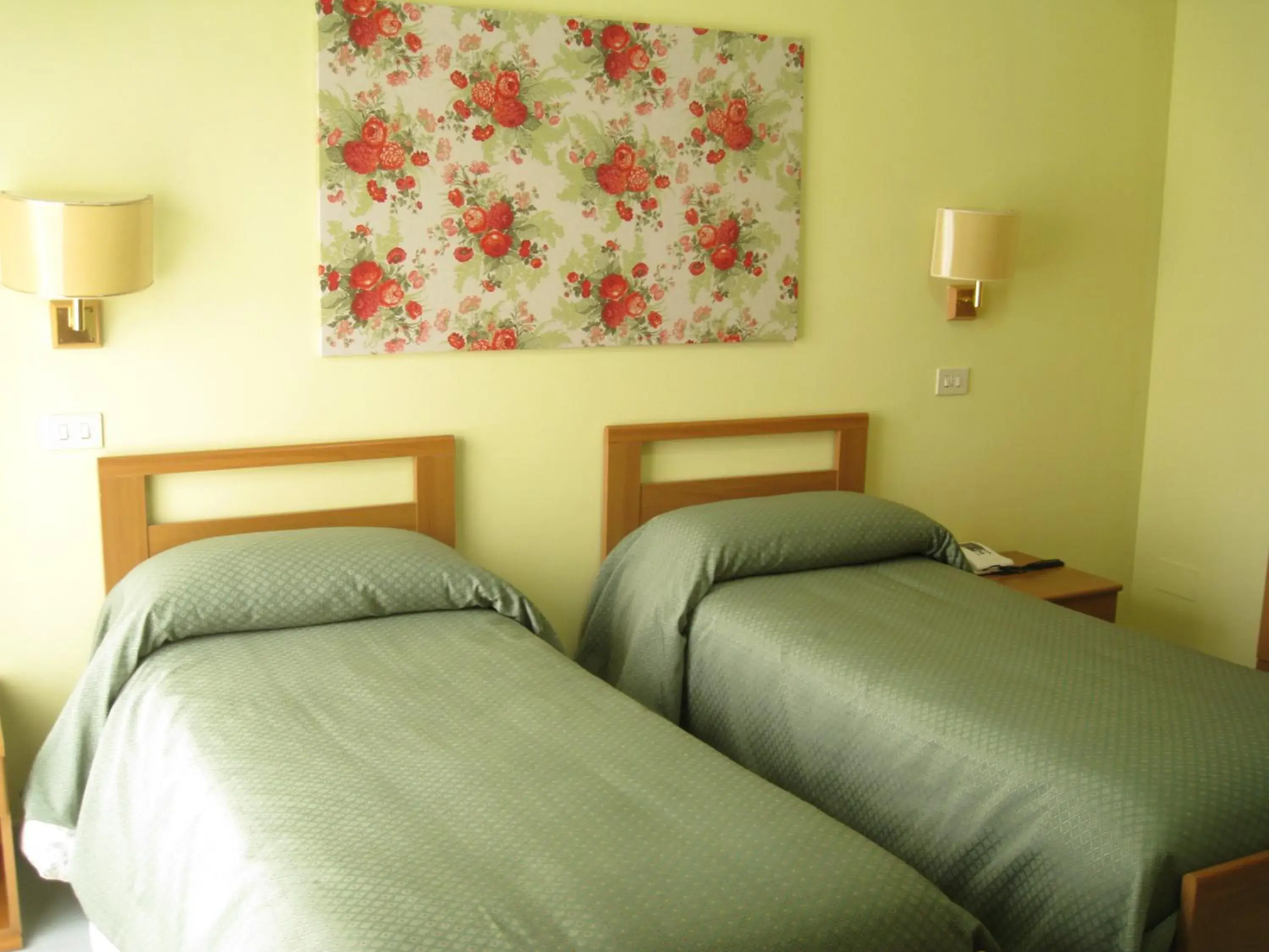 Single Room in Hotel Parco Delle Rose