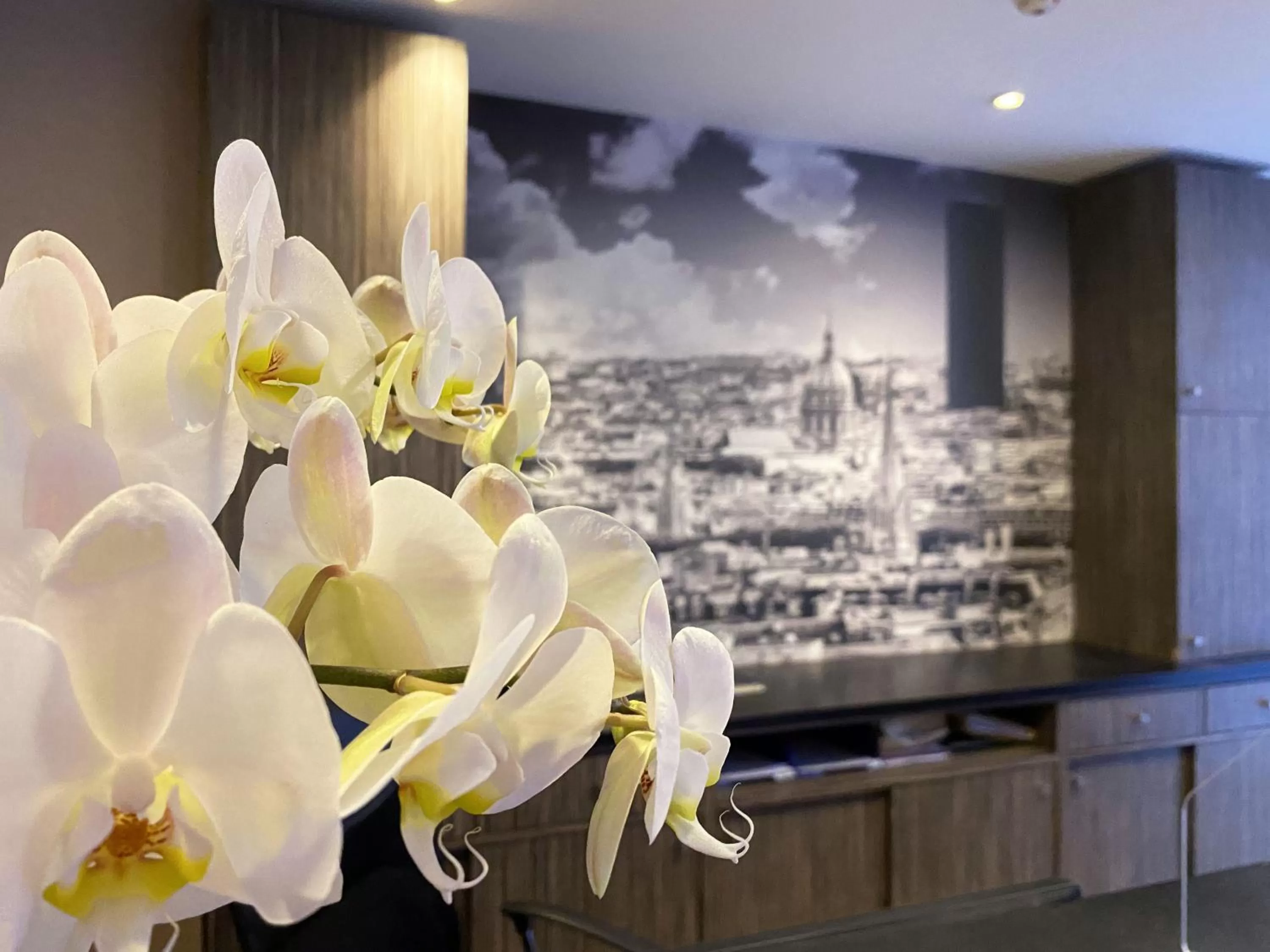 Lobby or reception in Timhotel Odessa Montparnasse